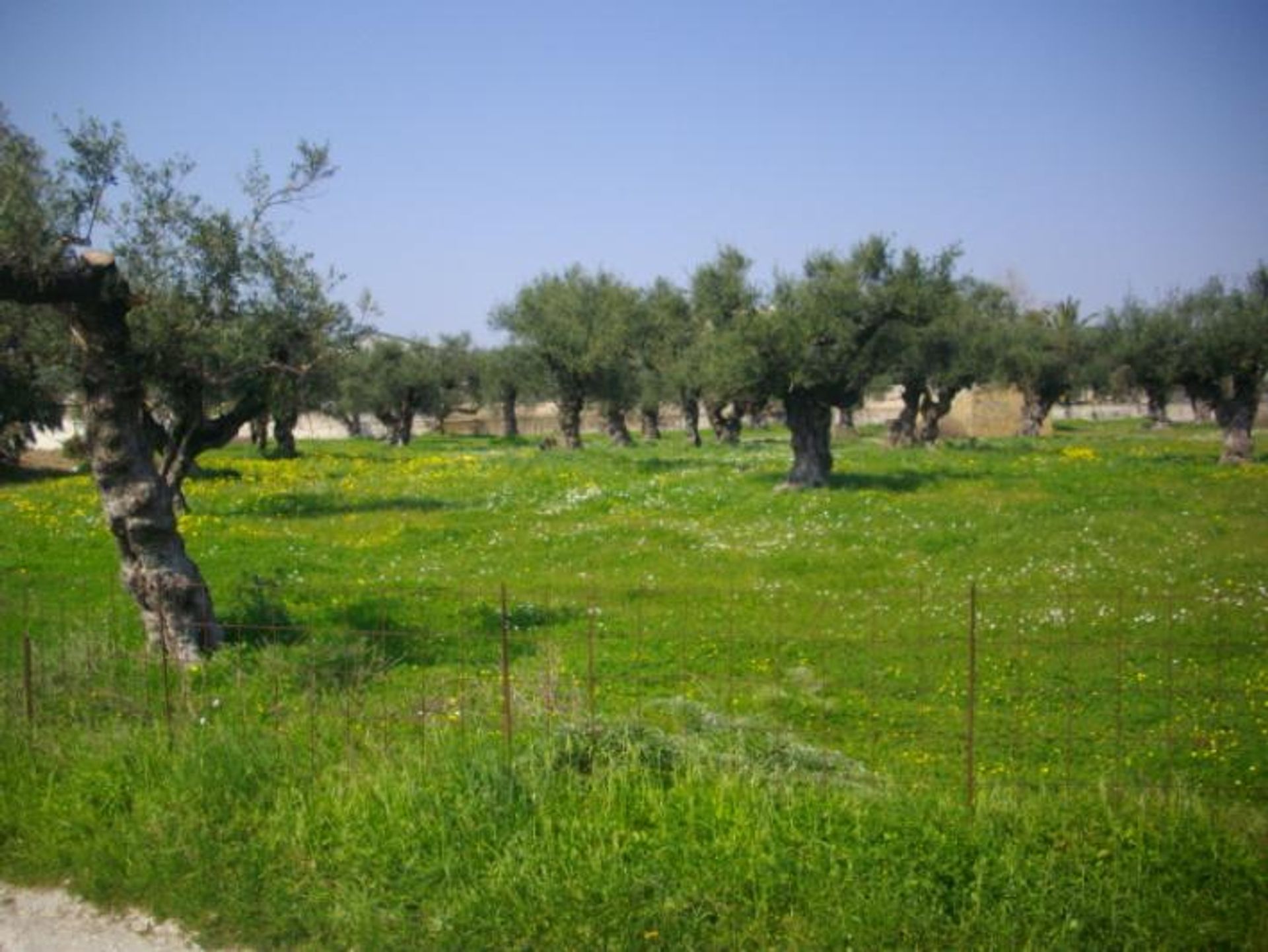 Land in Zakynthos, Zakinthos 10086681