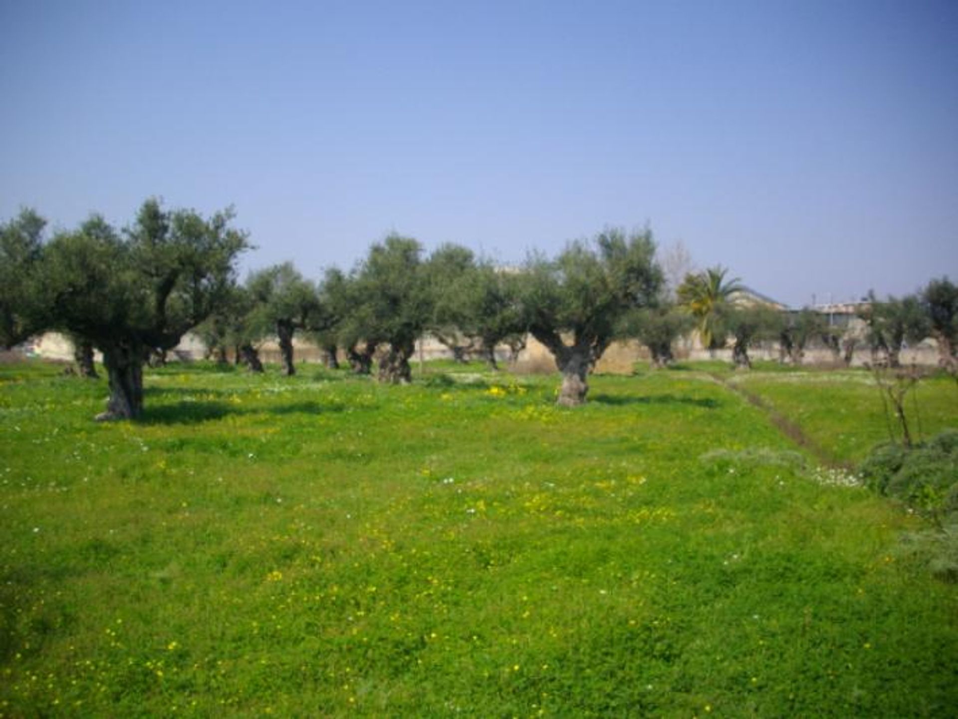 Land in Zakynthos, Zakinthos 10086681