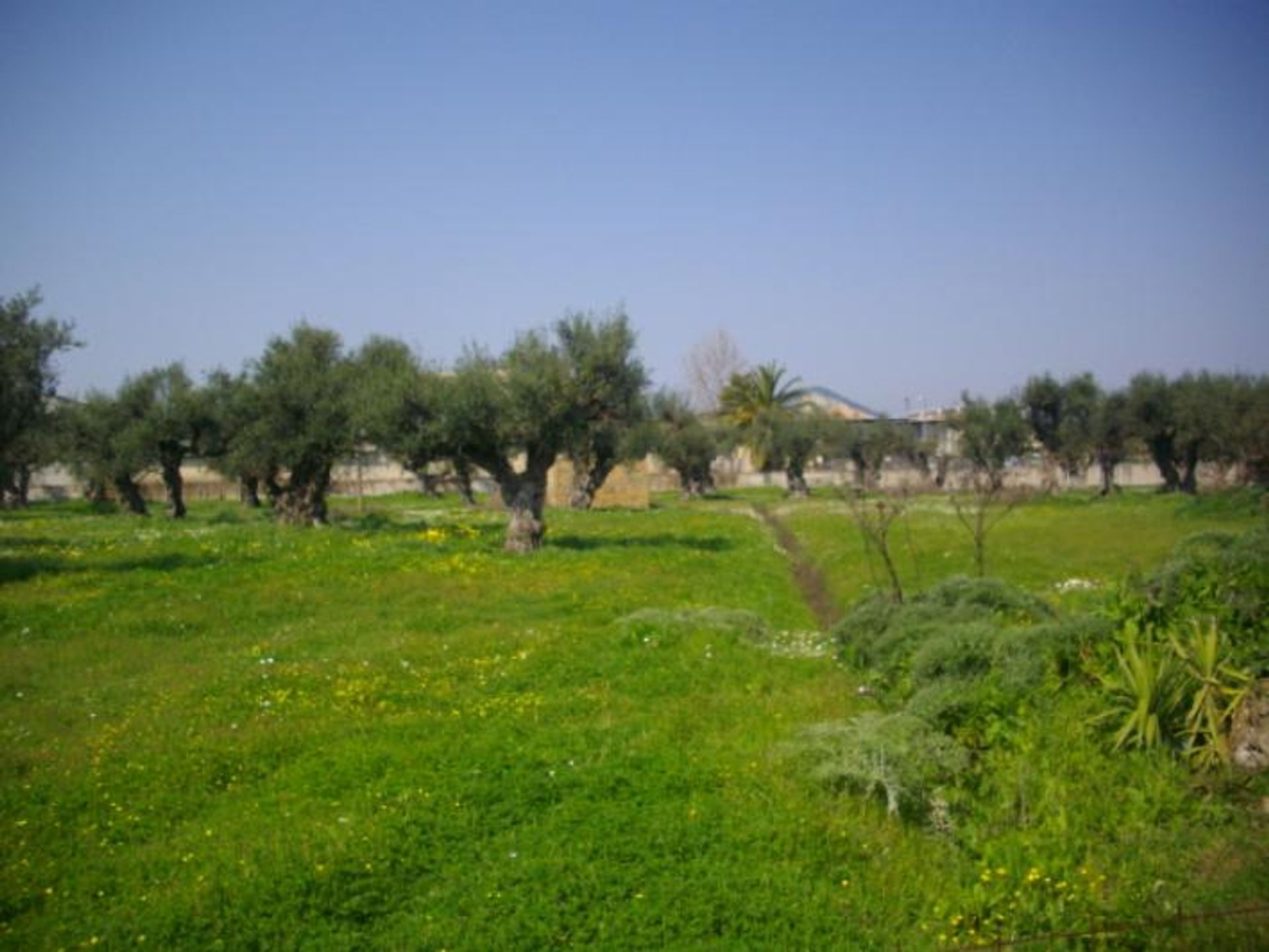 Land in Zakynthos, Zakinthos 10086681