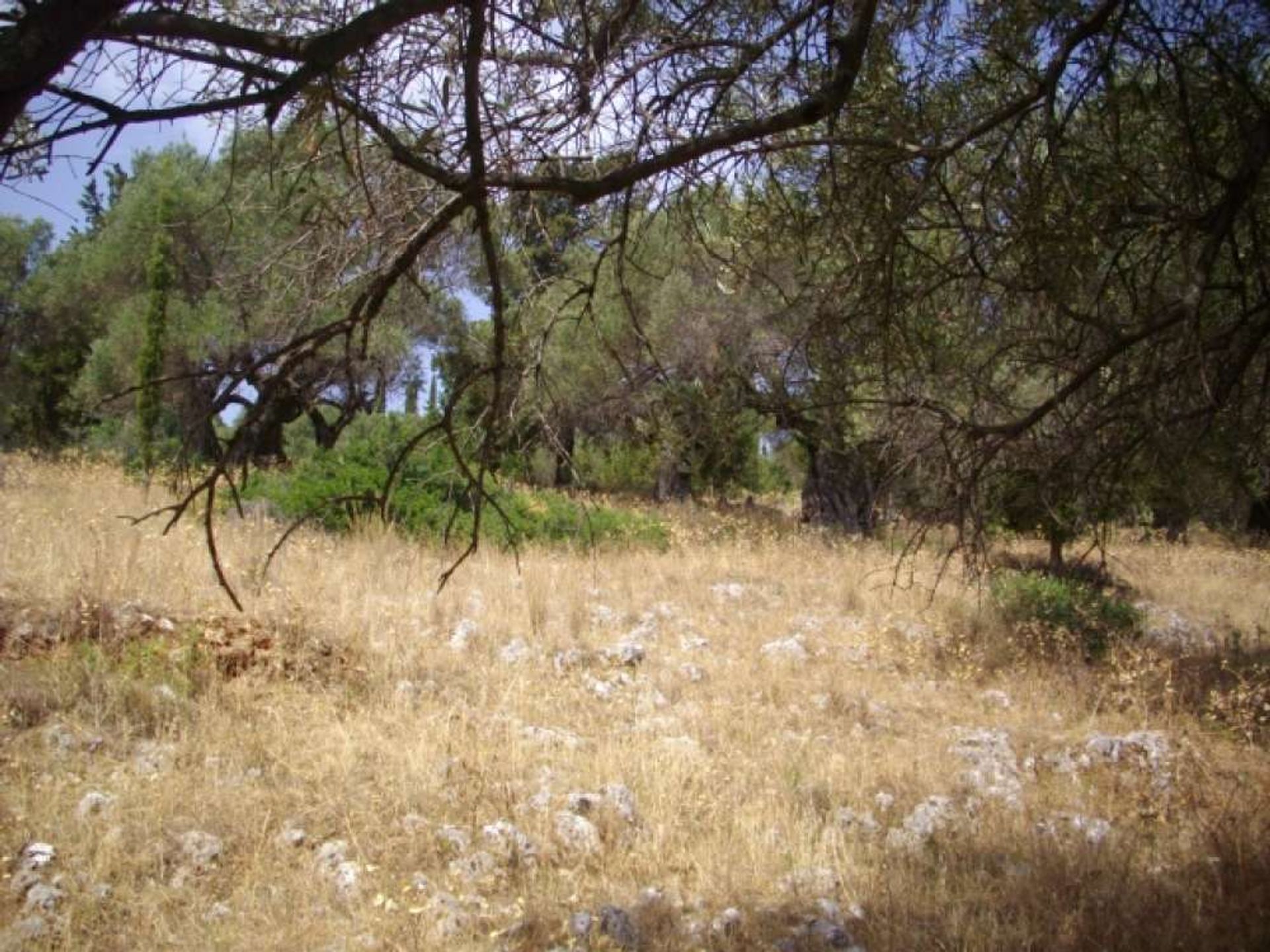 Jord i Zakynthos, Zakinthos 10086689