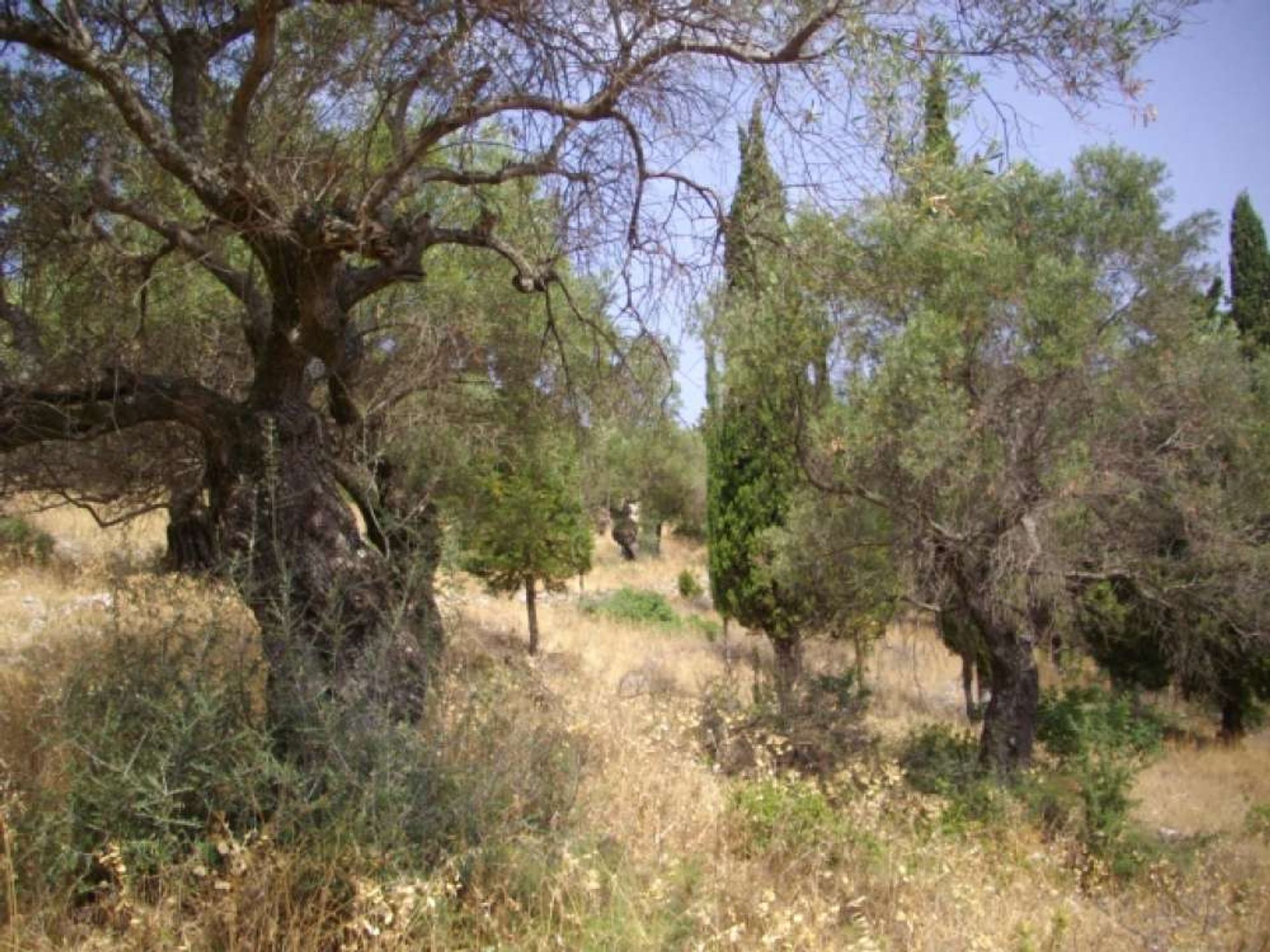 Jord i Zakynthos, Zakinthos 10086689