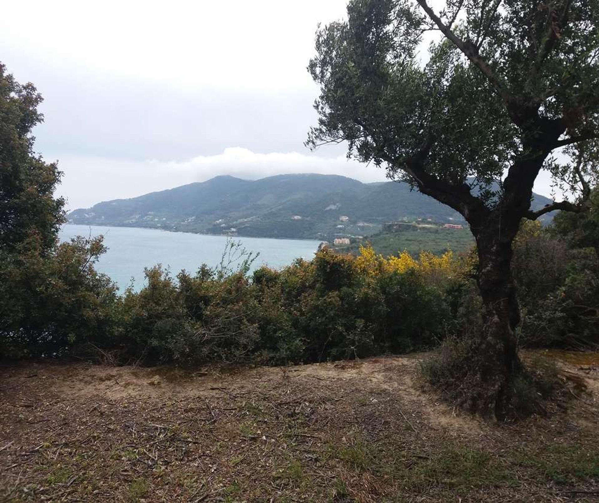 Tanah di Zakynthos, Zakinthos 10086690