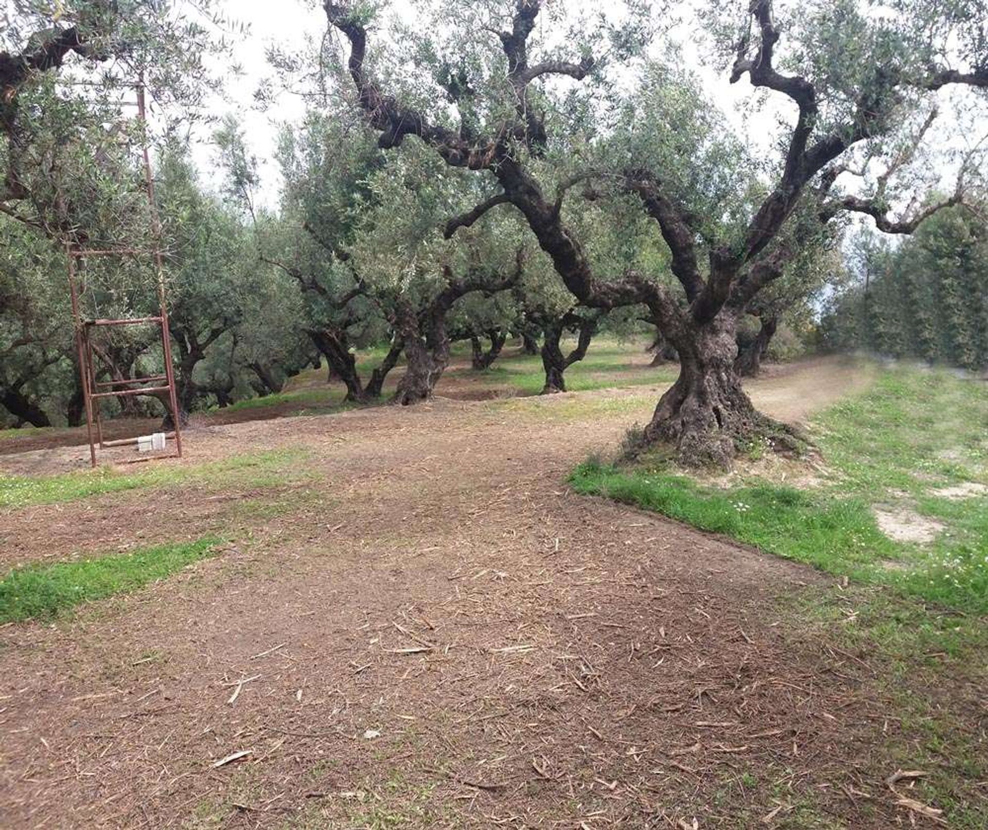 Земельные участки в Zakynthos, Zakinthos 10086690