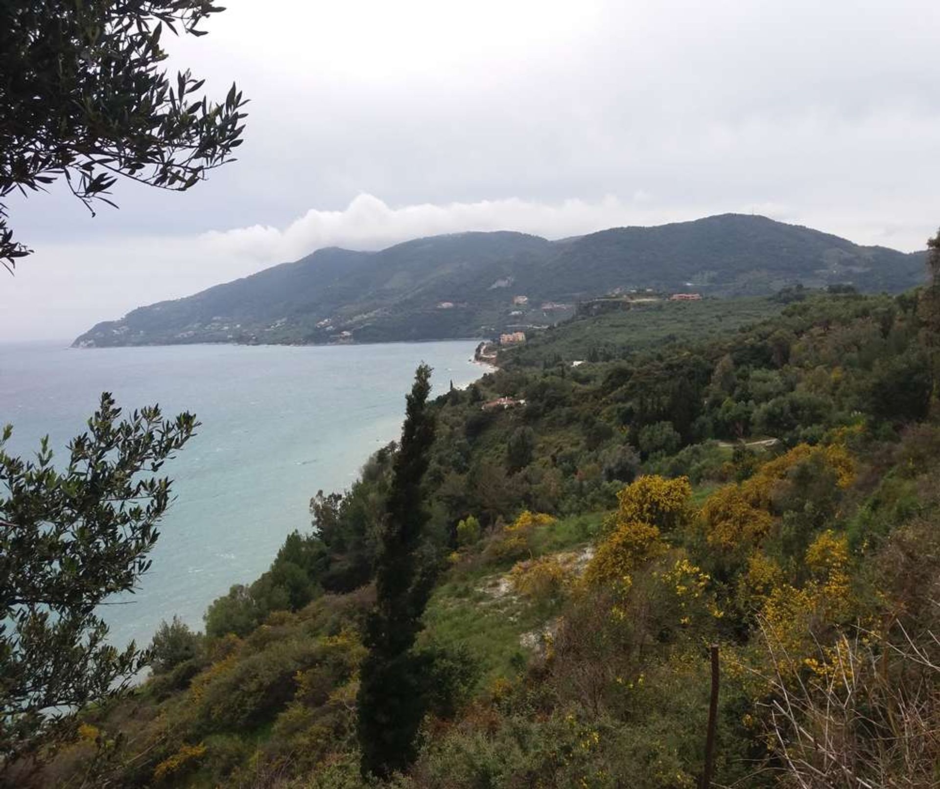 Tanah di Zakynthos, Zakinthos 10086690