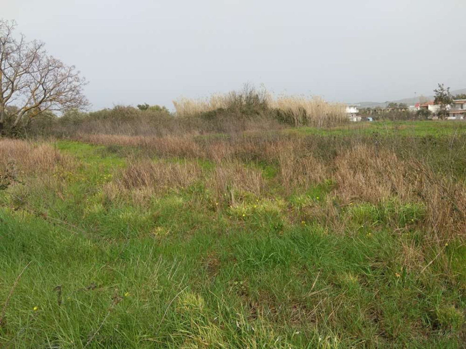 Tierra en Zakynthos, Zakinthos 10086691