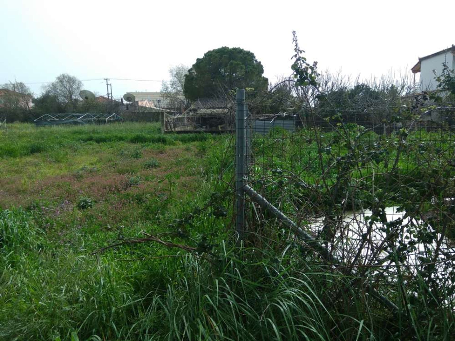 Land i Zakynthos, Zakinthos 10086691