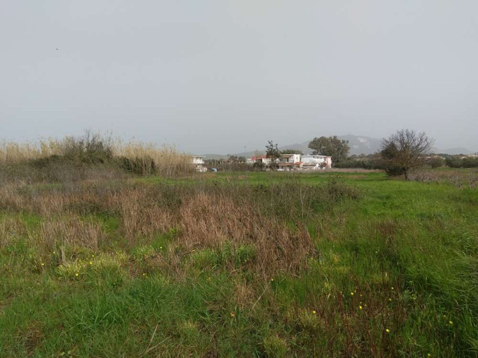 Land in Zakynthos, Zakinthos 10086691