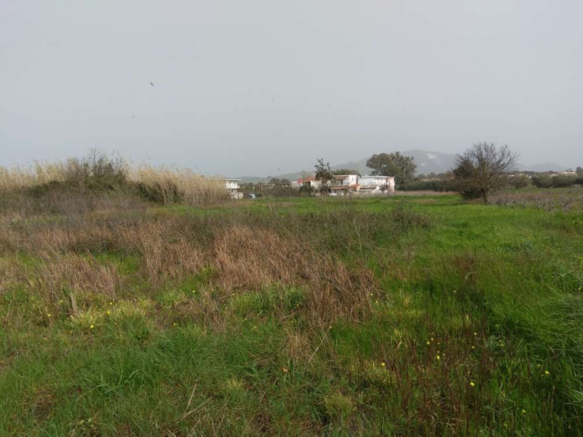 Land i Zakynthos, Zakinthos 10086691