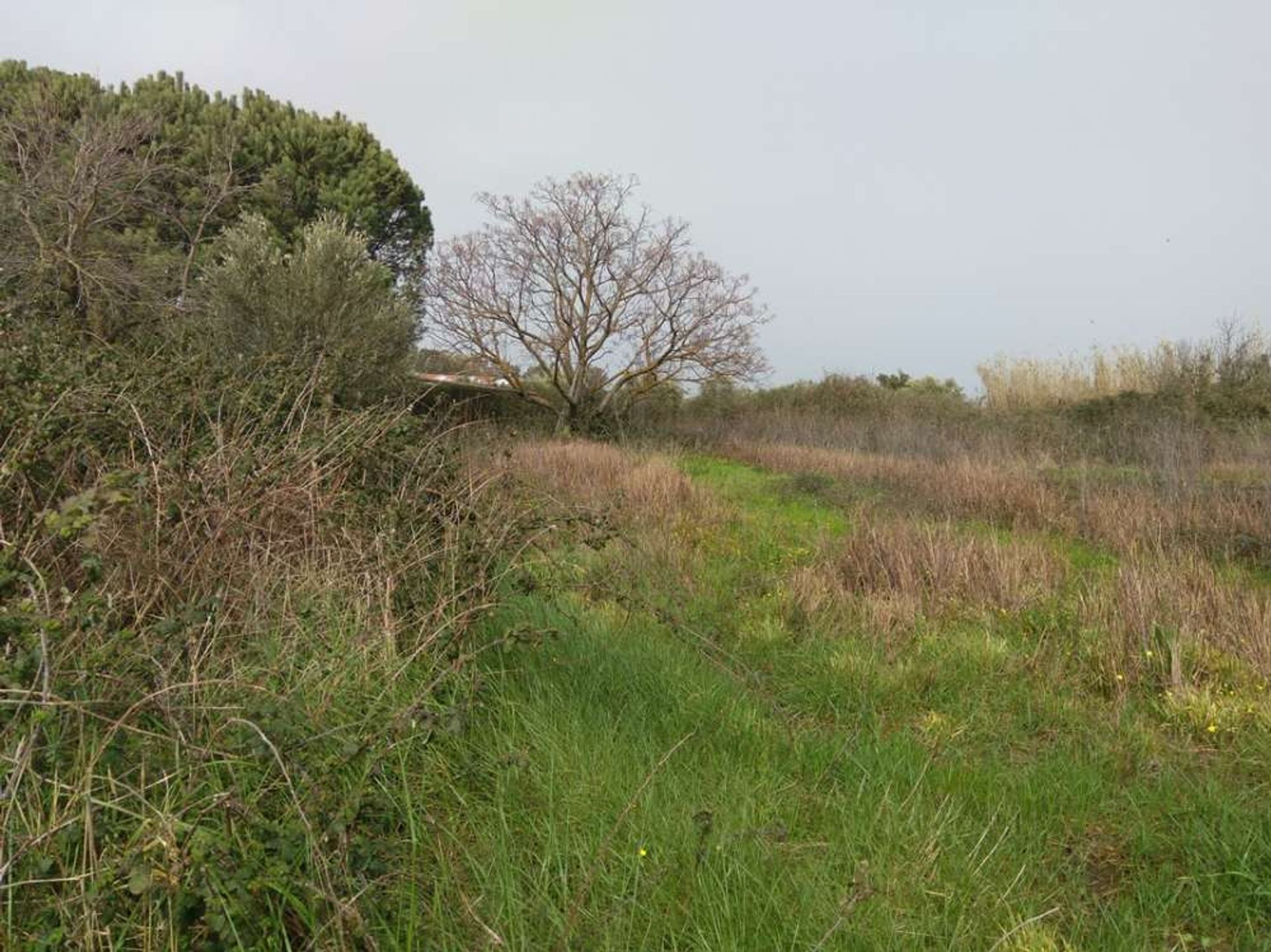 Land im Zakynthos, Zakinthos 10086691