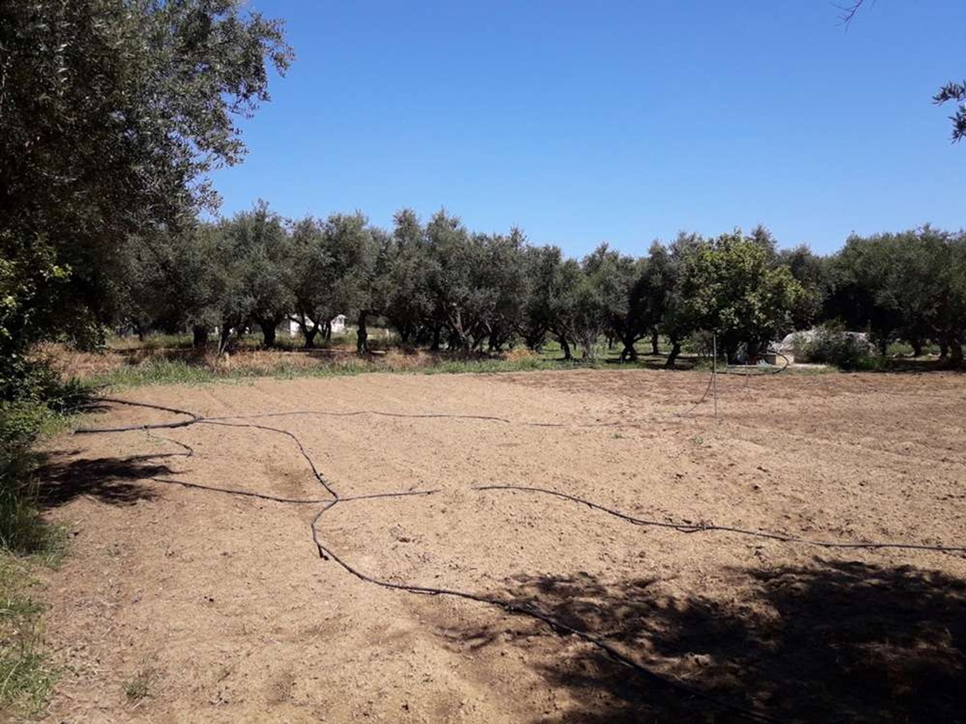 Tierra en Zakynthos, Zakinthos 10086692