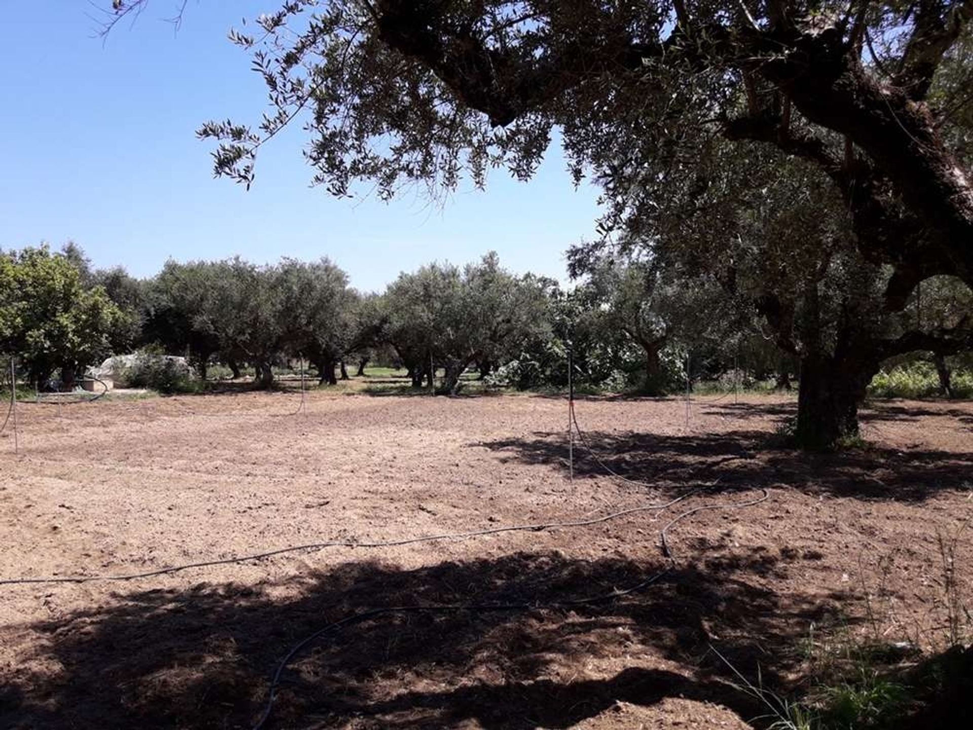 Tierra en Zakynthos, Zakinthos 10086692