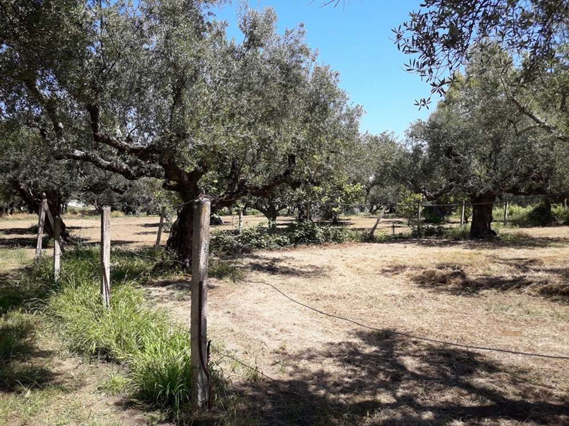 Tierra en Zakynthos, Zakinthos 10086692