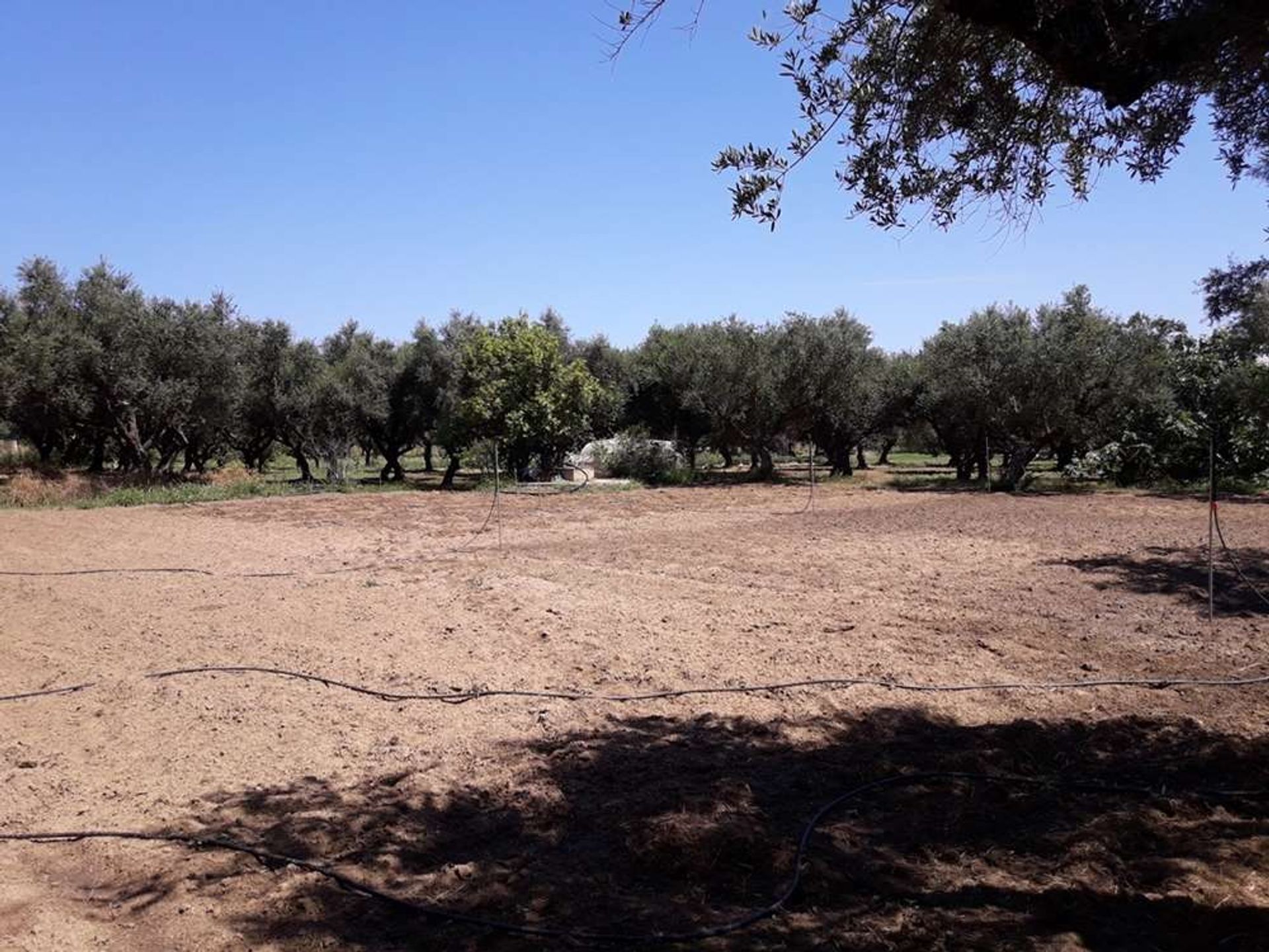 Tierra en Zakynthos, Zakinthos 10086692