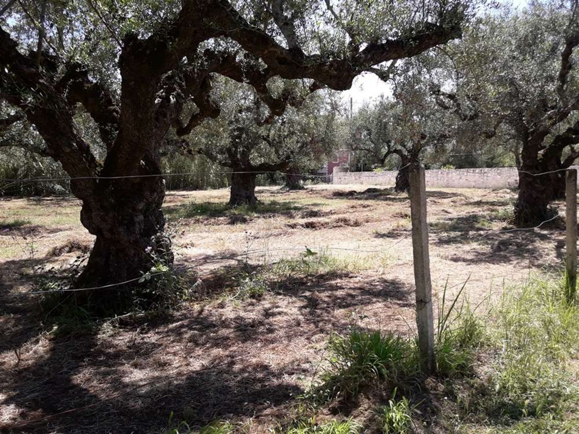 Tierra en Zakynthos, Zakinthos 10086692