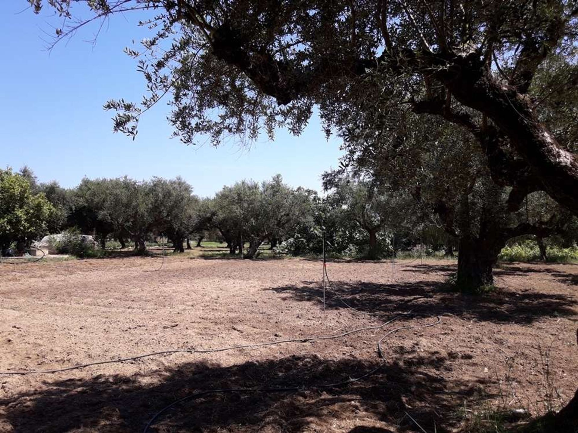 Tierra en Zakynthos, Zakinthos 10086692