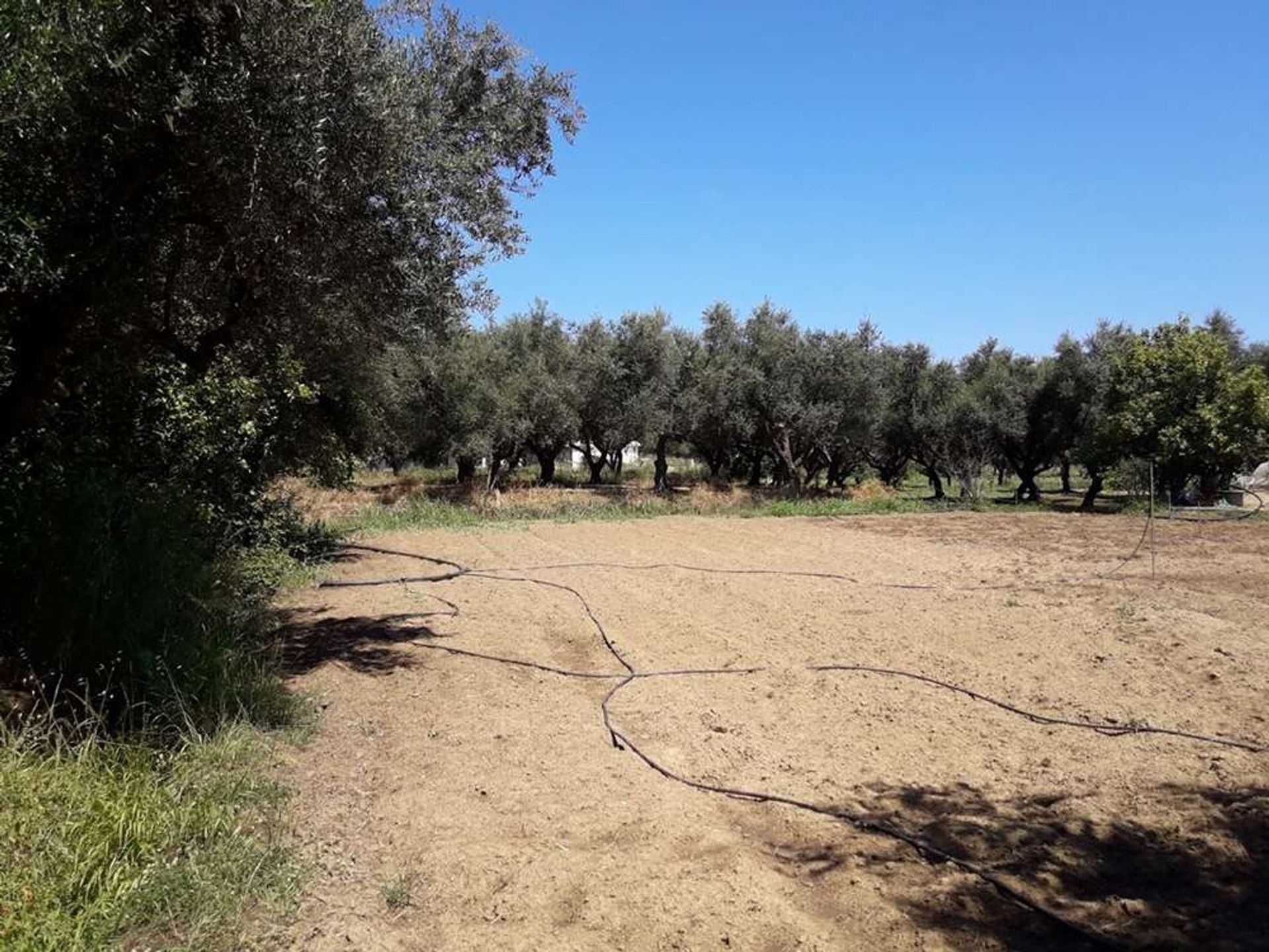 Tierra en Zakynthos, Zakinthos 10086692