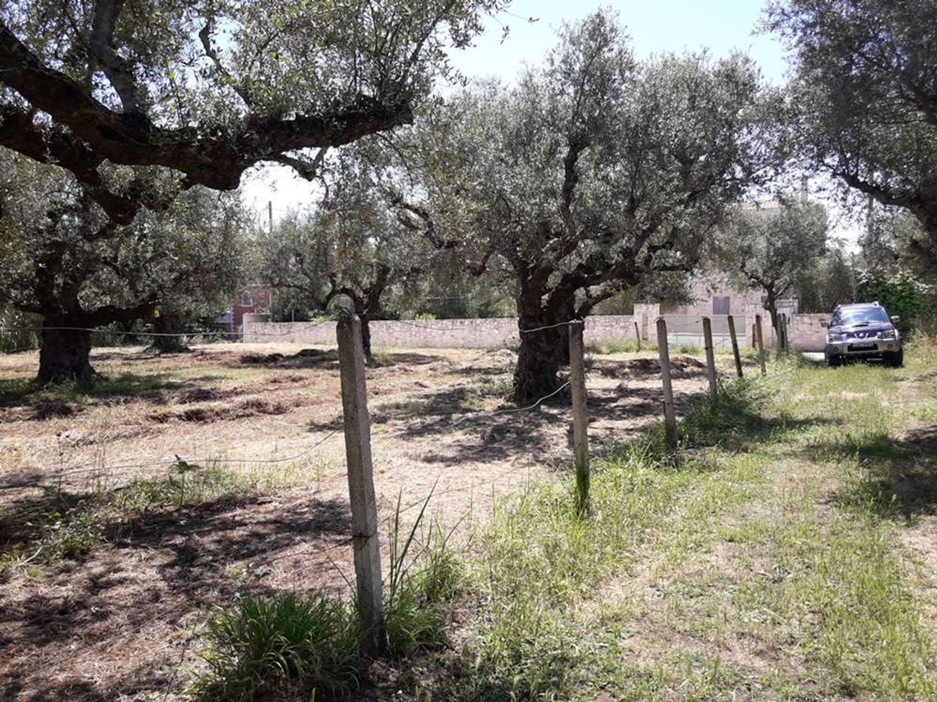 Land im Bochali, Ionia Nisia 10086692