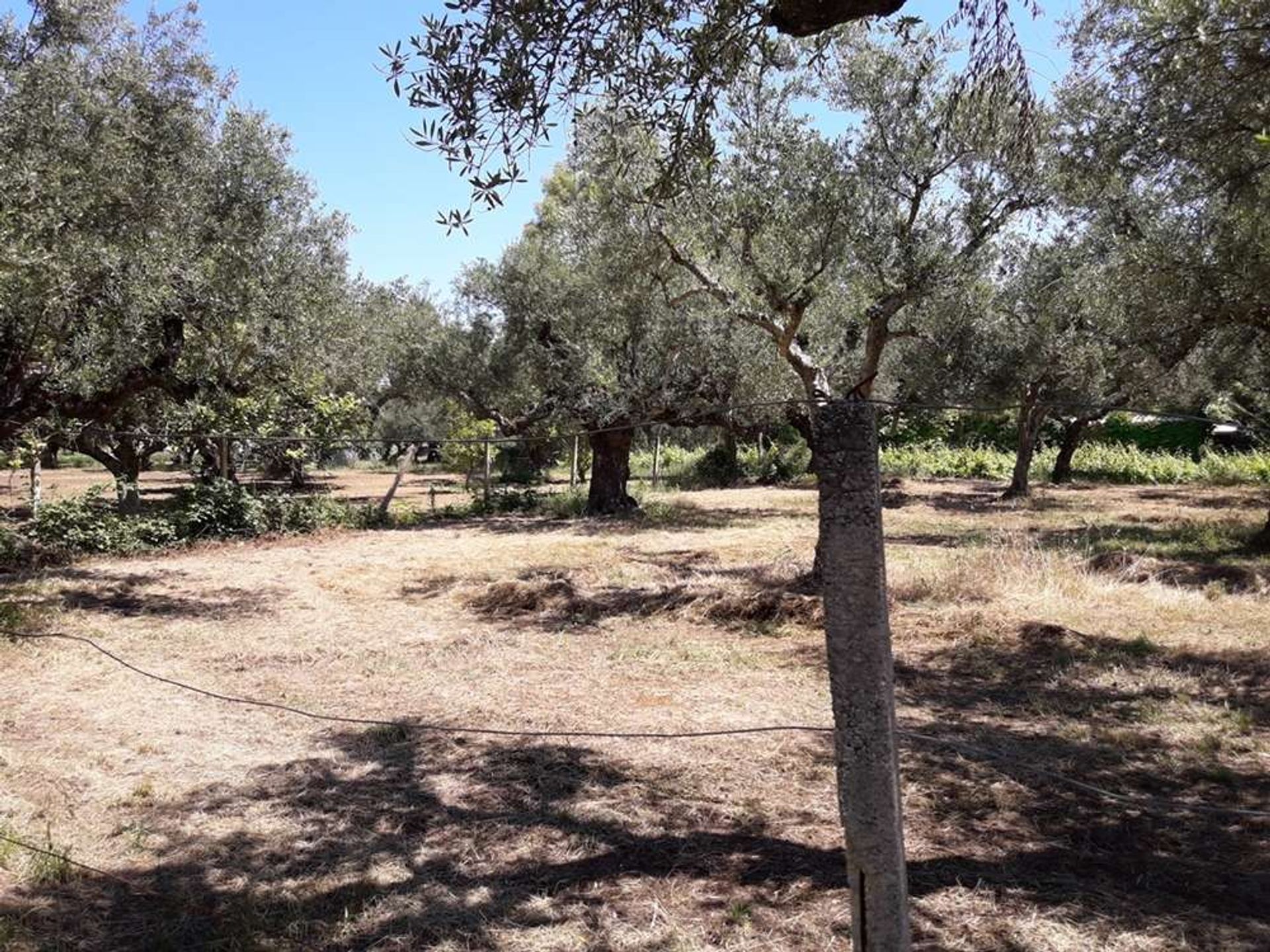 Tierra en Zakynthos, Zakinthos 10086692