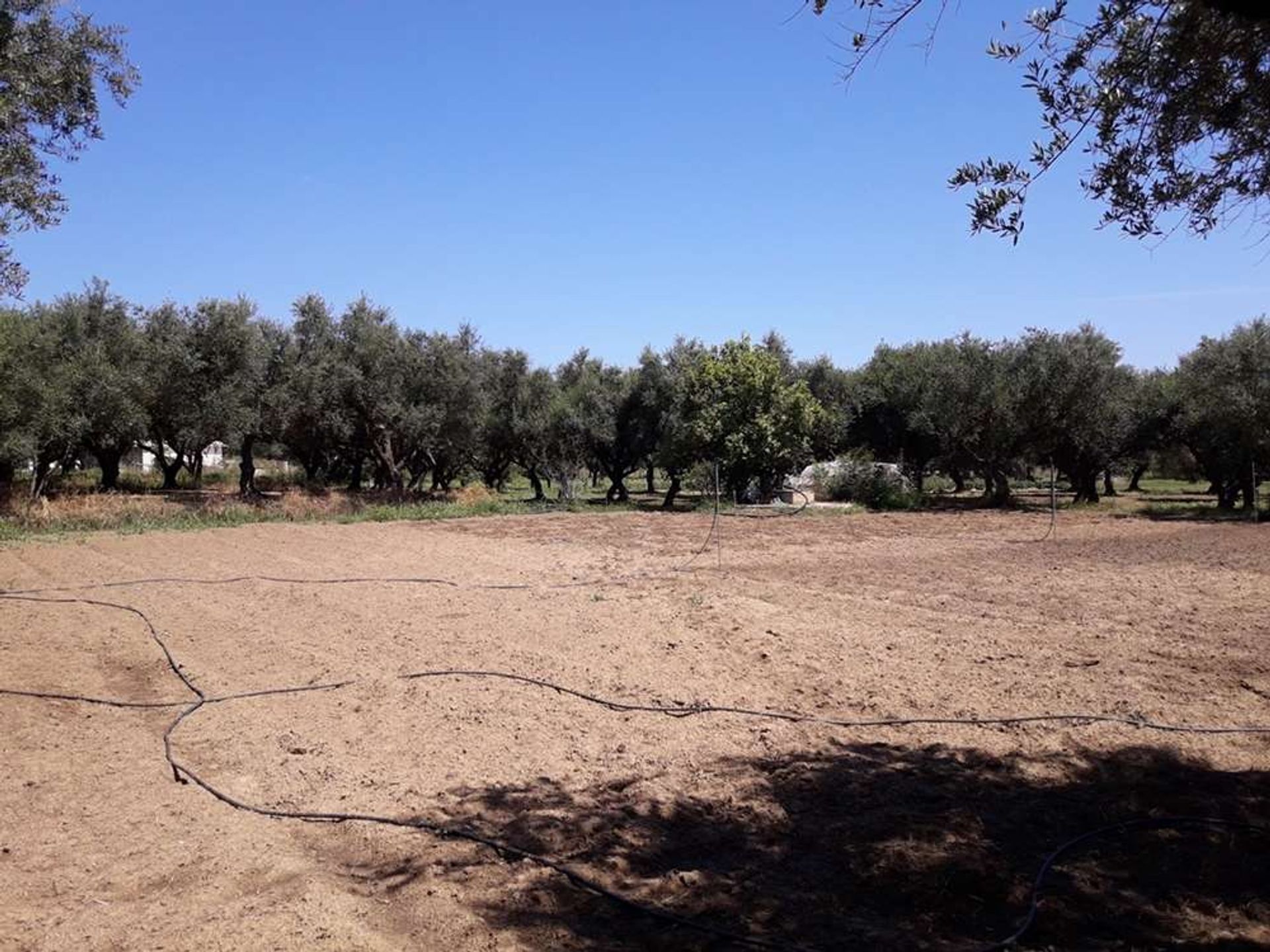 Tierra en Zakynthos, Zakinthos 10086692