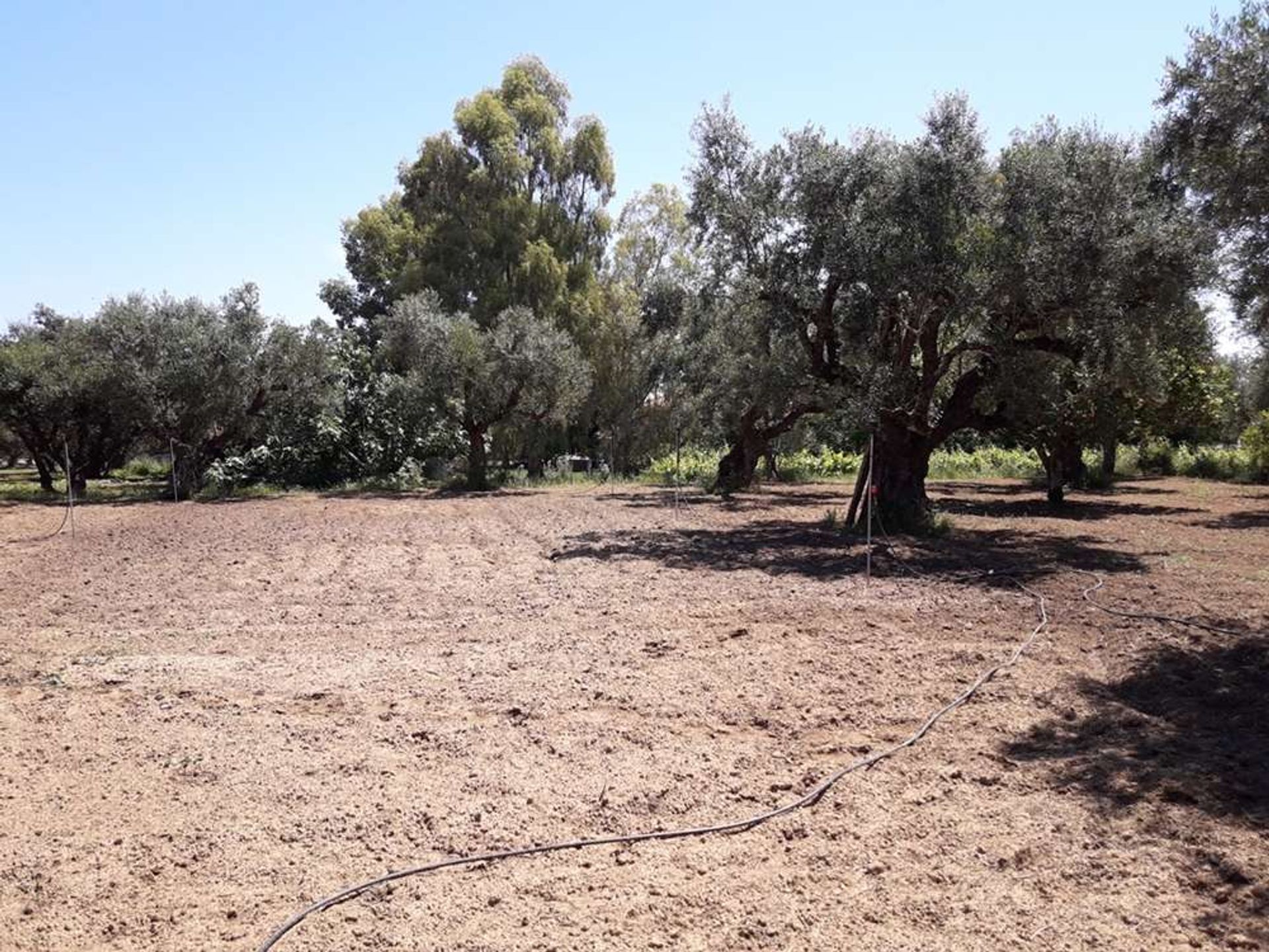 Tierra en Zakynthos, Zakinthos 10086692