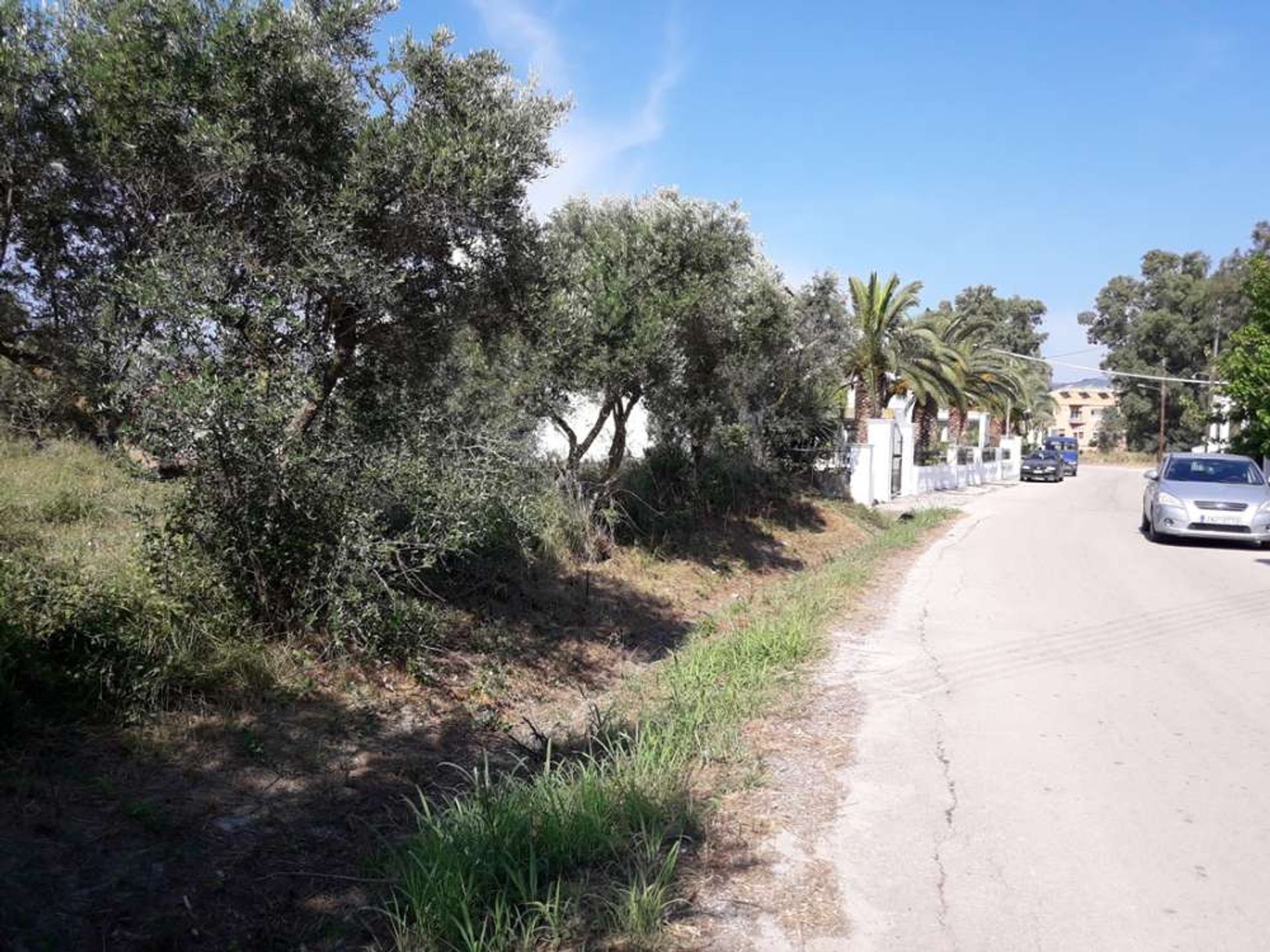 Tierra en Zakynthos, Zakinthos 10086694