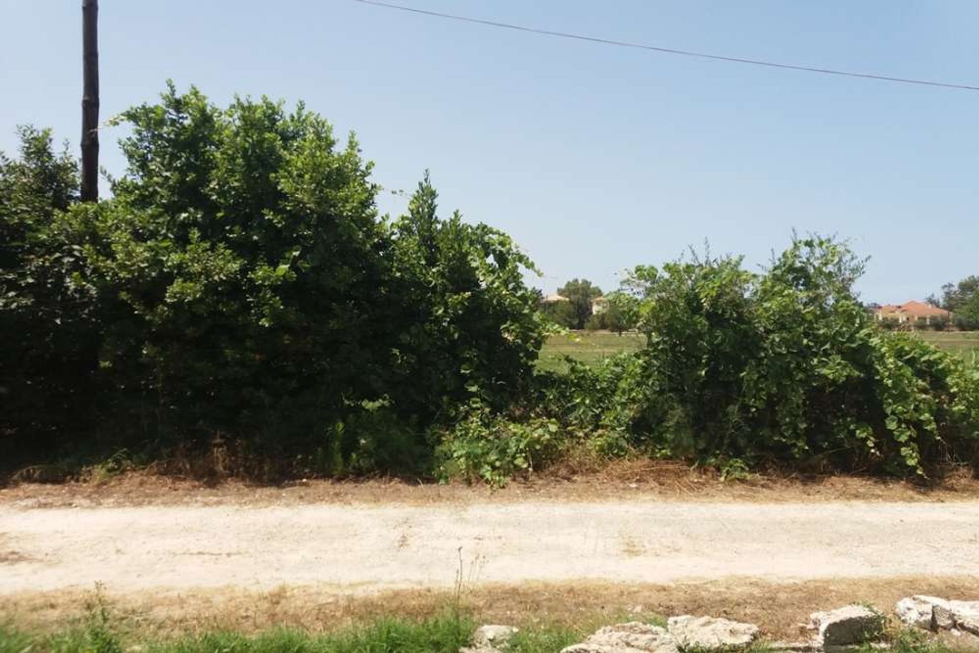 Tanah dalam Zakynthos, Zakinthos 10086695