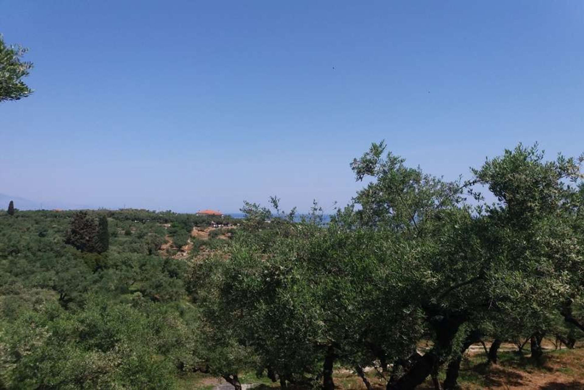 ארץ ב Zakynthos, Zakinthos 10086697