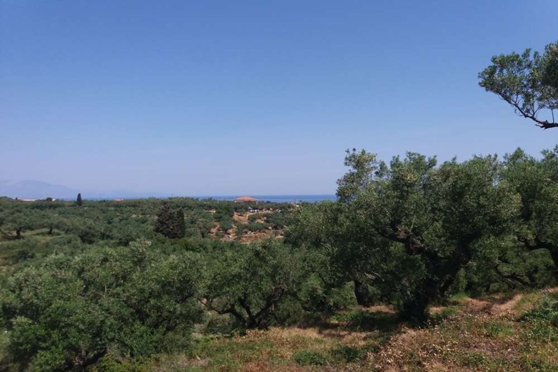 Tanah dalam Zakynthos, Zakinthos 10086697