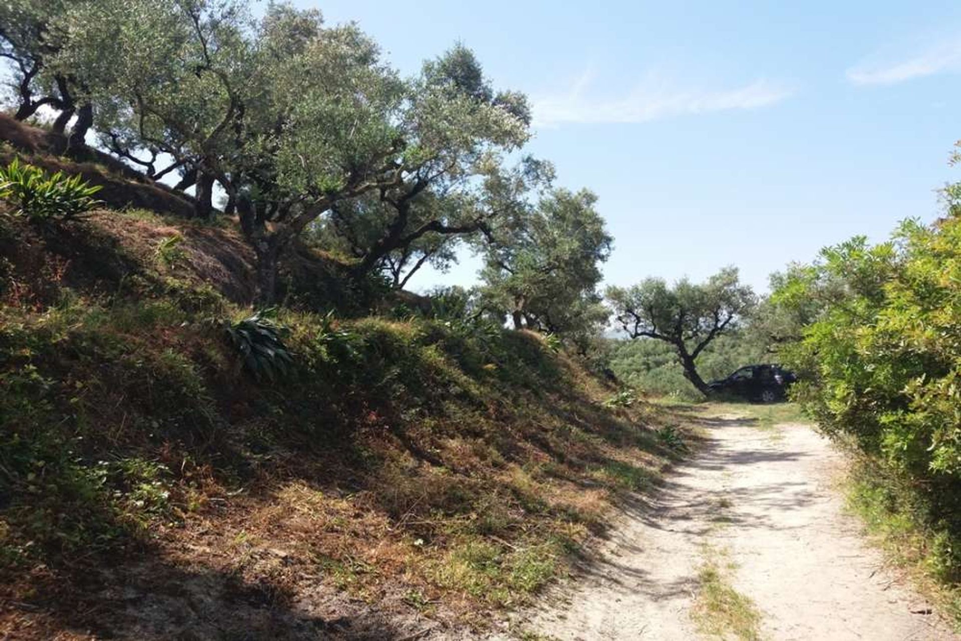 Land i Zakynthos, Zakinthos 10086697