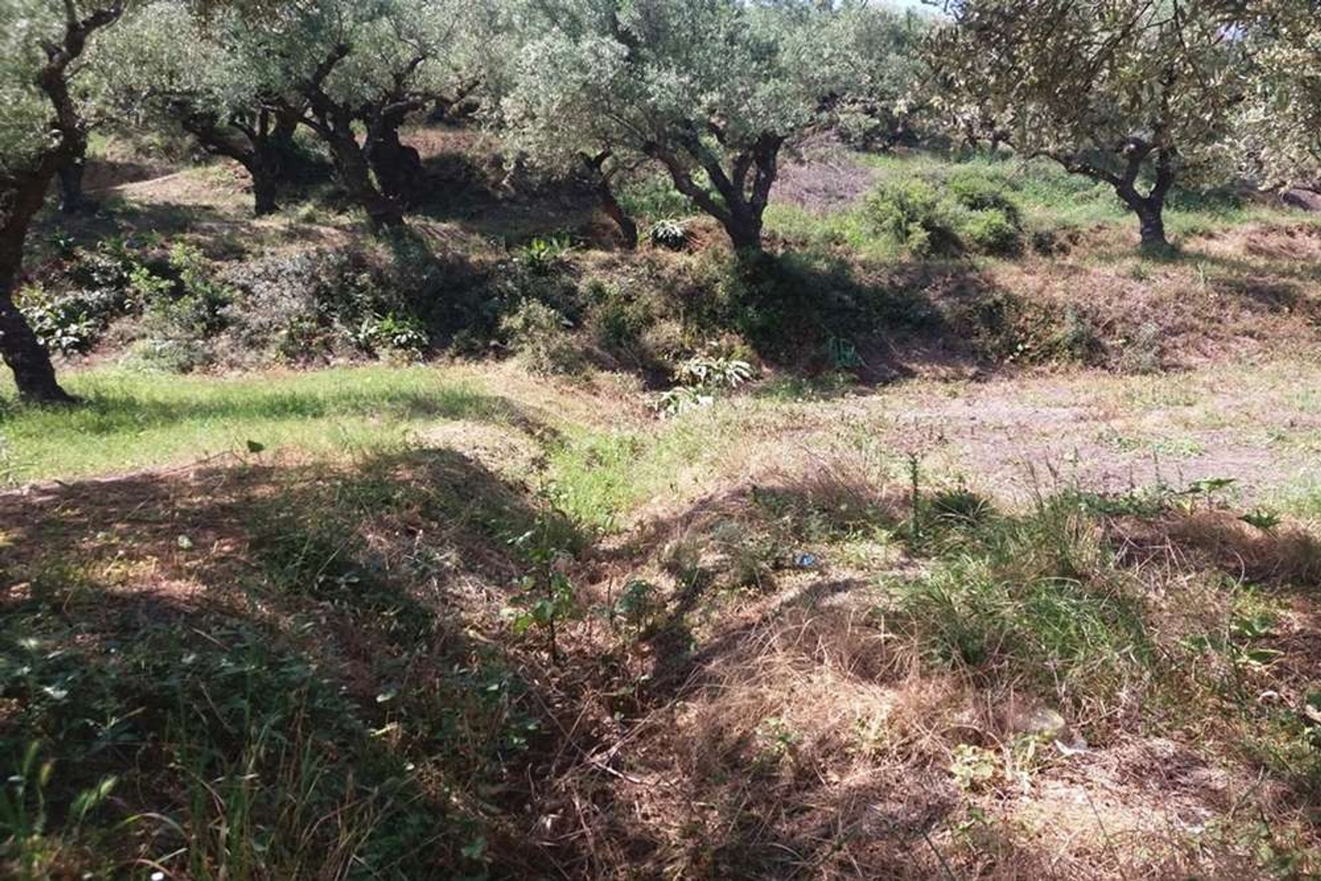 Land i Zakynthos, Zakinthos 10086697