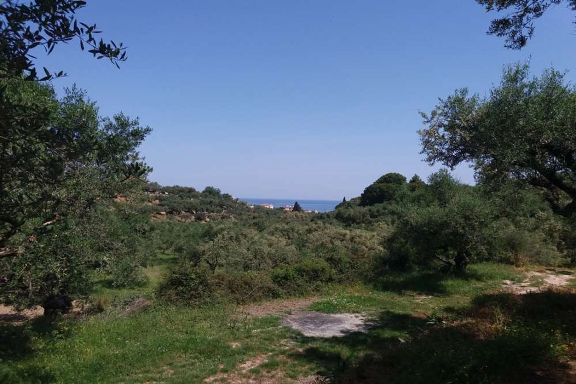 Land i Zakynthos, Zakinthos 10086697