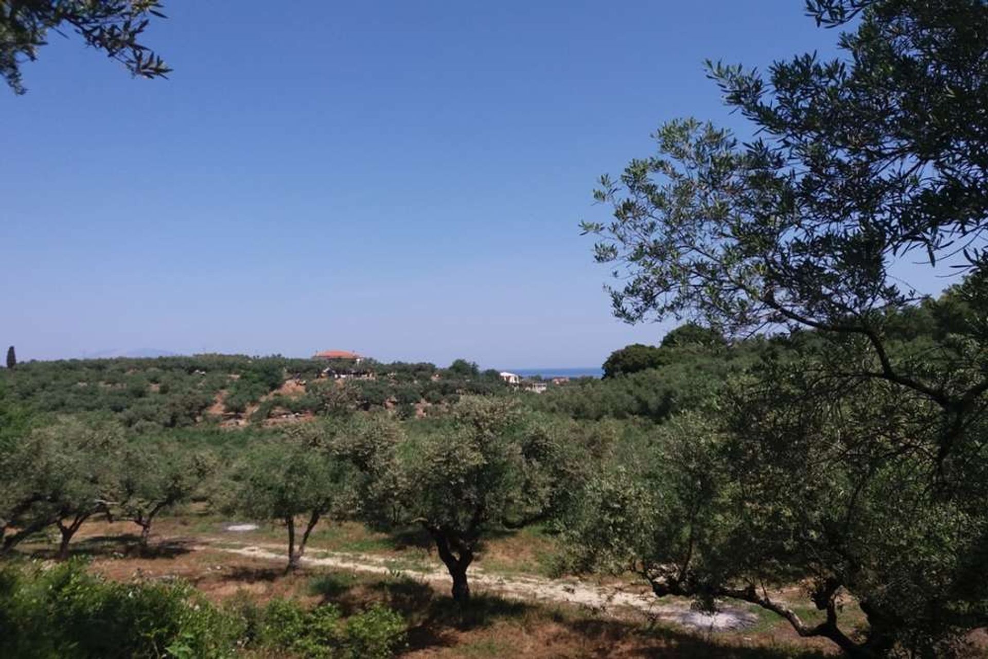 الأرض في Zakynthos, Zakinthos 10086697