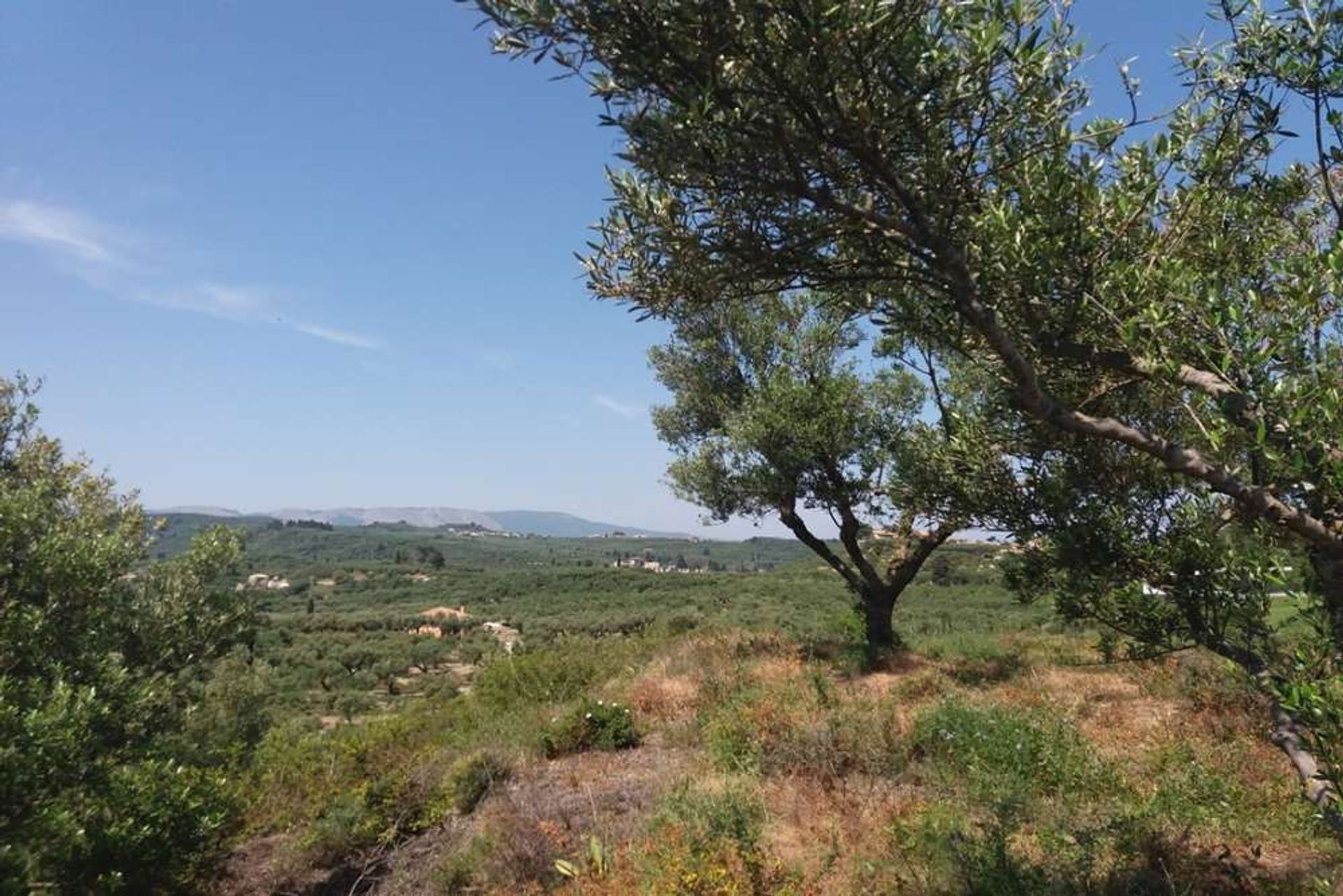 Земельные участки в Zakynthos, Zakinthos 10086697