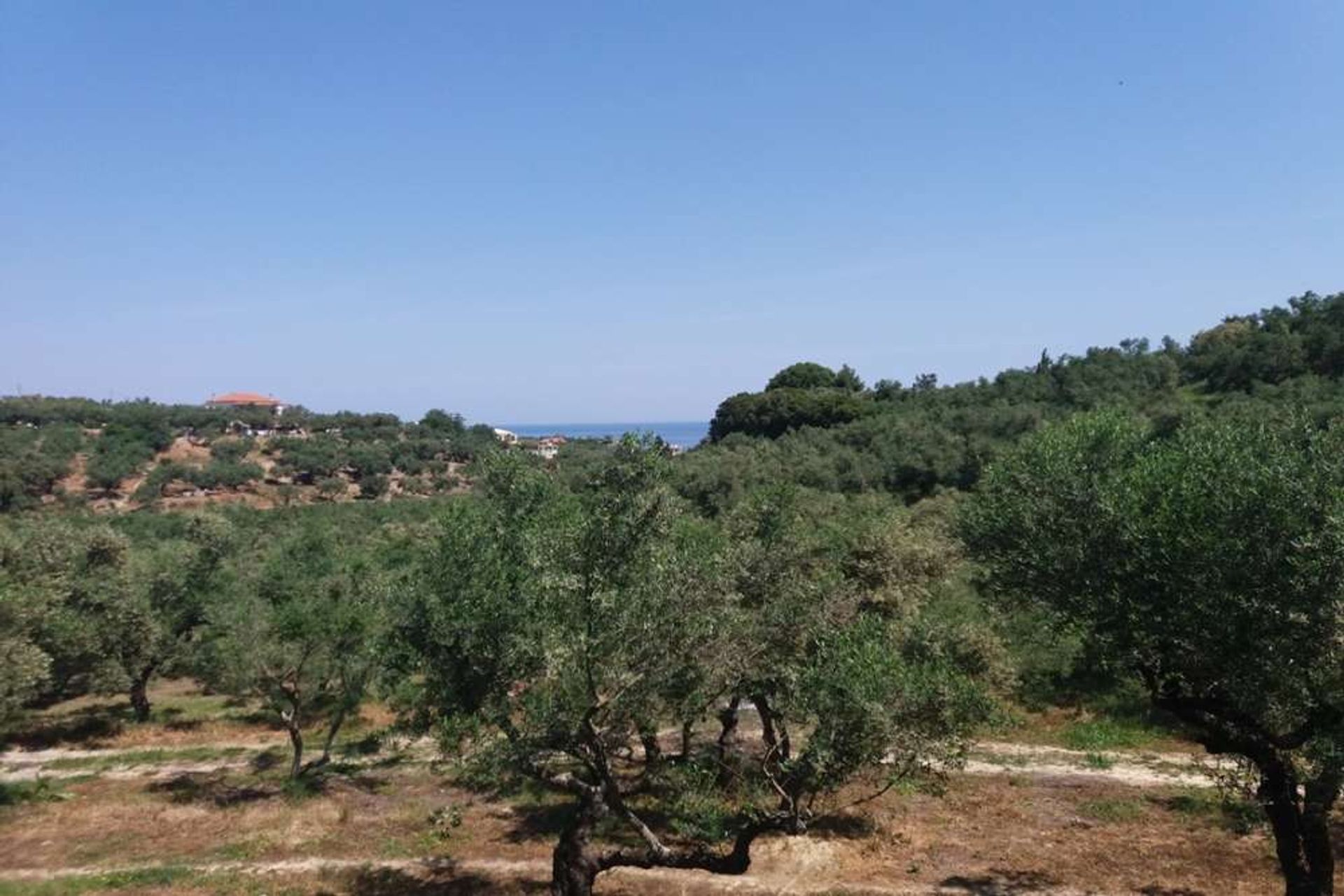 Maa sisään Zakynthos, Zakinthos 10086697