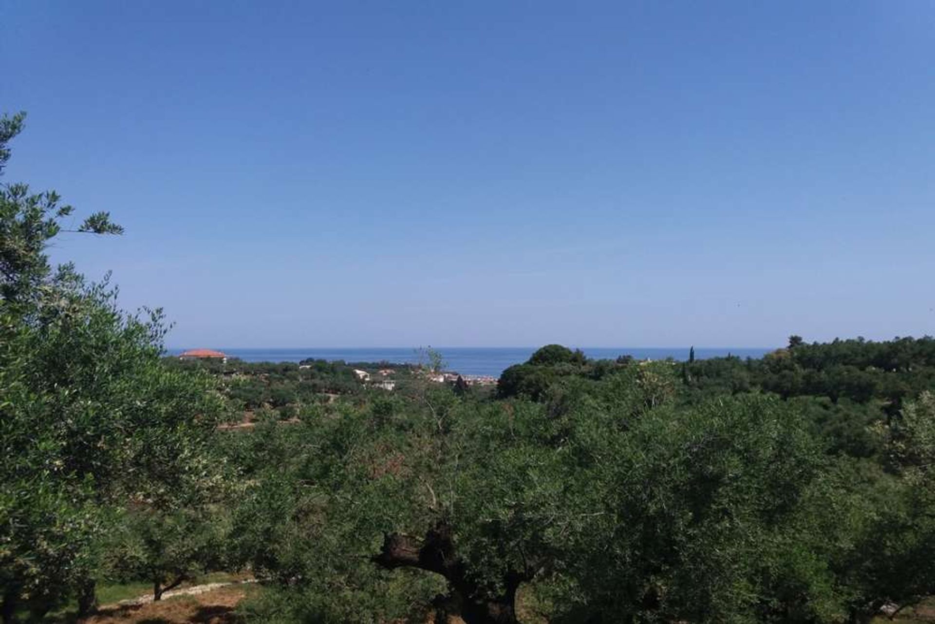 ארץ ב Zakynthos, Zakinthos 10086697