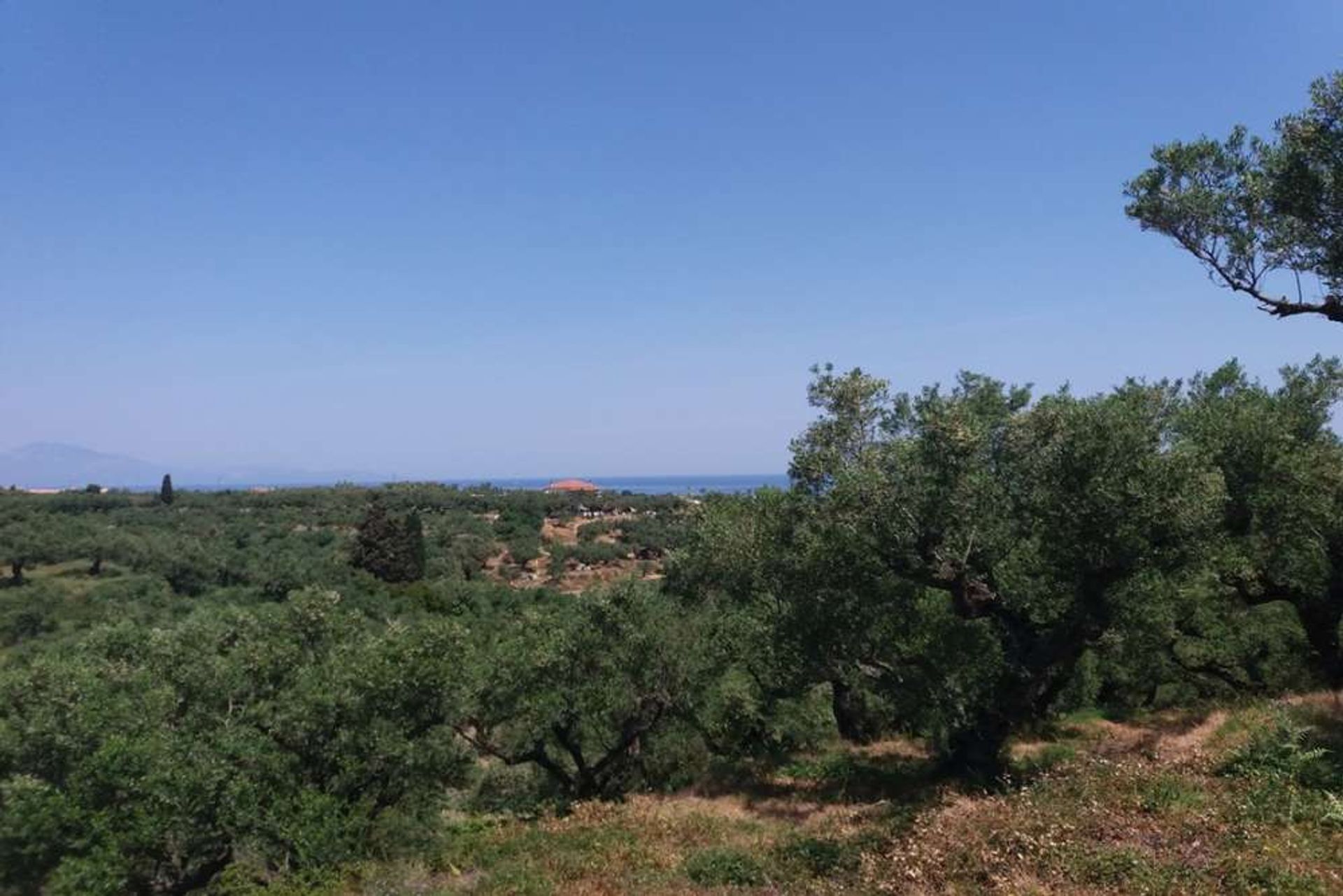 Land i Zakynthos, Zakinthos 10086697