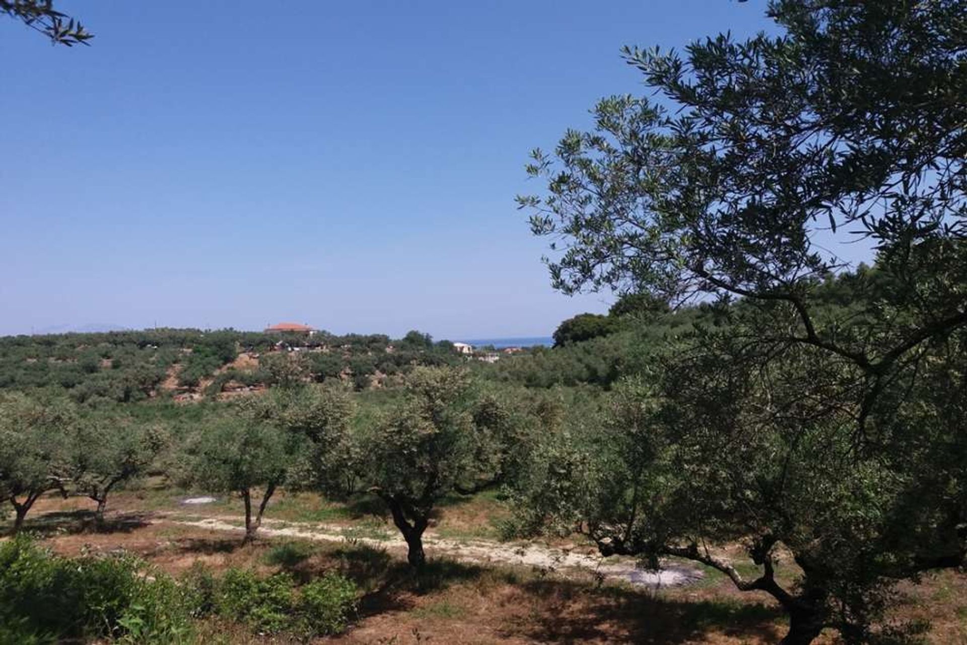 ארץ ב Zakynthos, Zakinthos 10086697