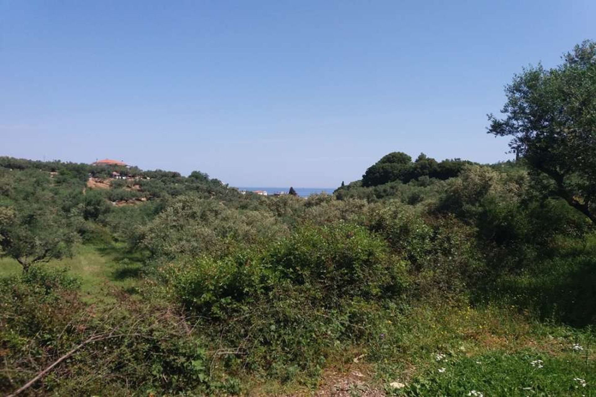 Tanah dalam Zakynthos, Zakinthos 10086697