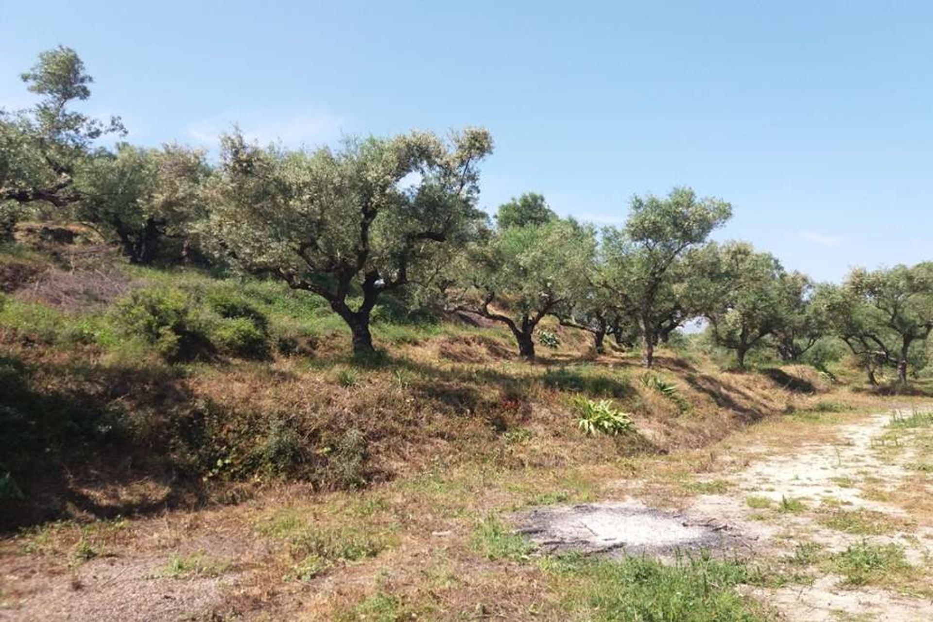 Земельные участки в Zakynthos, Zakinthos 10086697