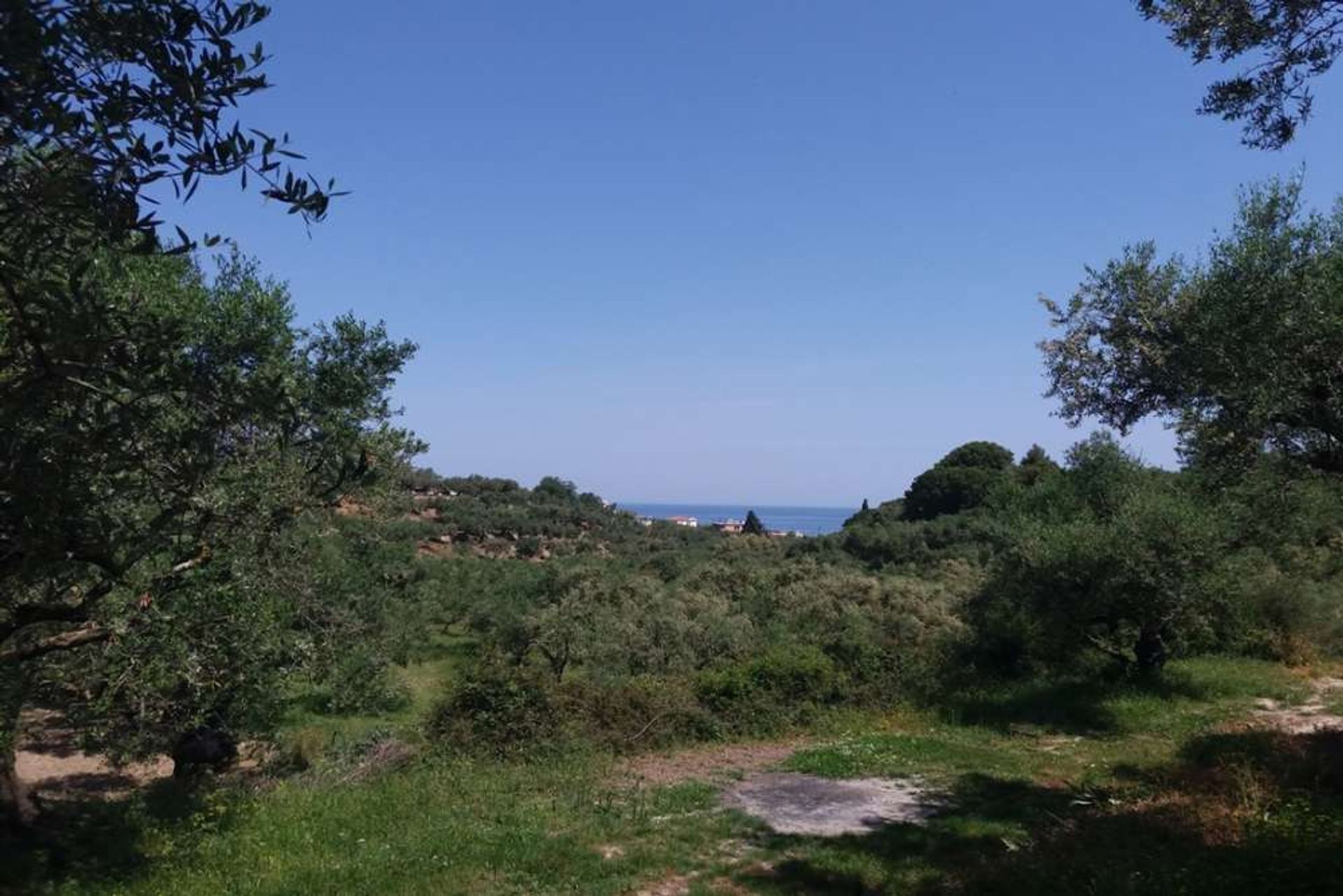 ארץ ב Zakynthos, Zakinthos 10086697