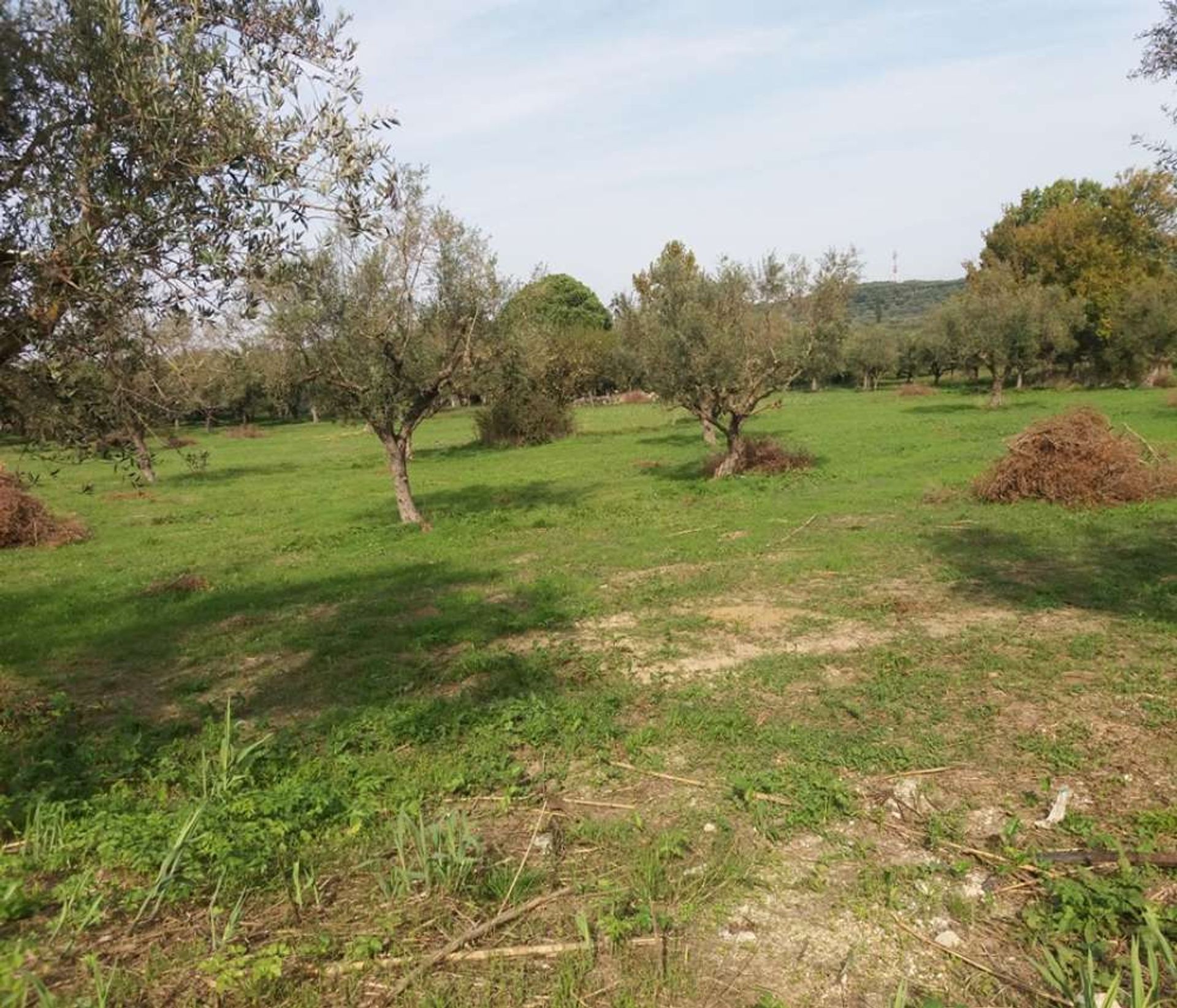 ארץ ב Zakynthos, Zakinthos 10086698