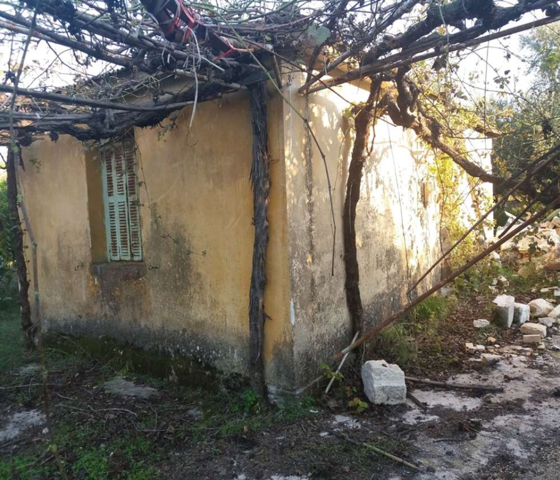 Земля в Zakynthos, Zakinthos 10086699