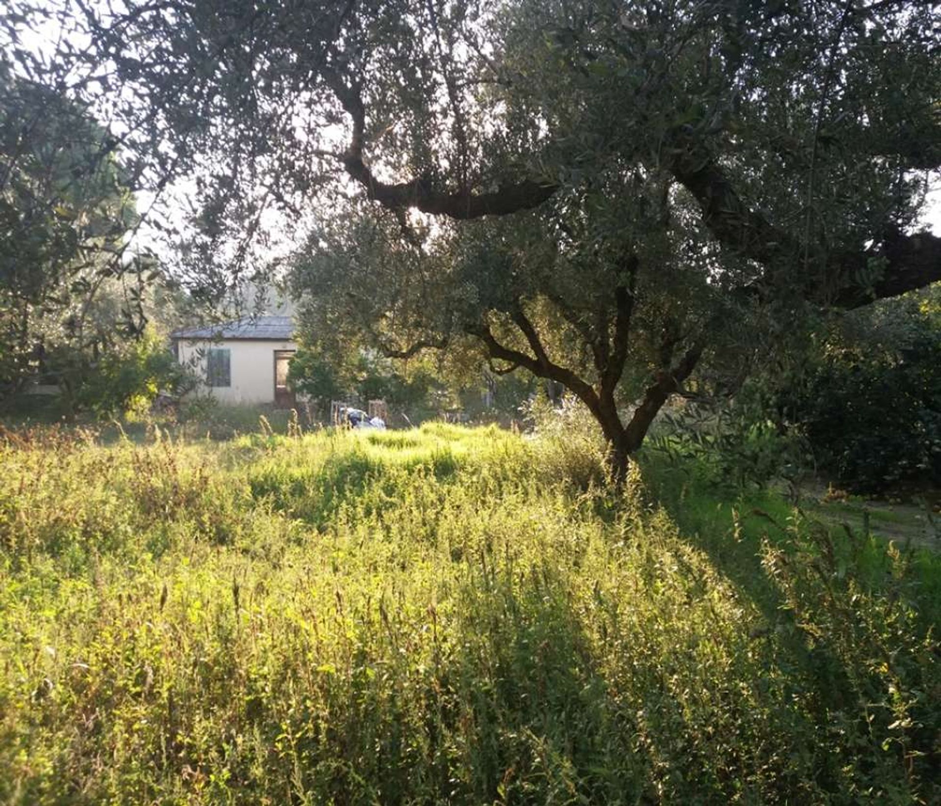 土地 在 Zakynthos, Zakinthos 10086699