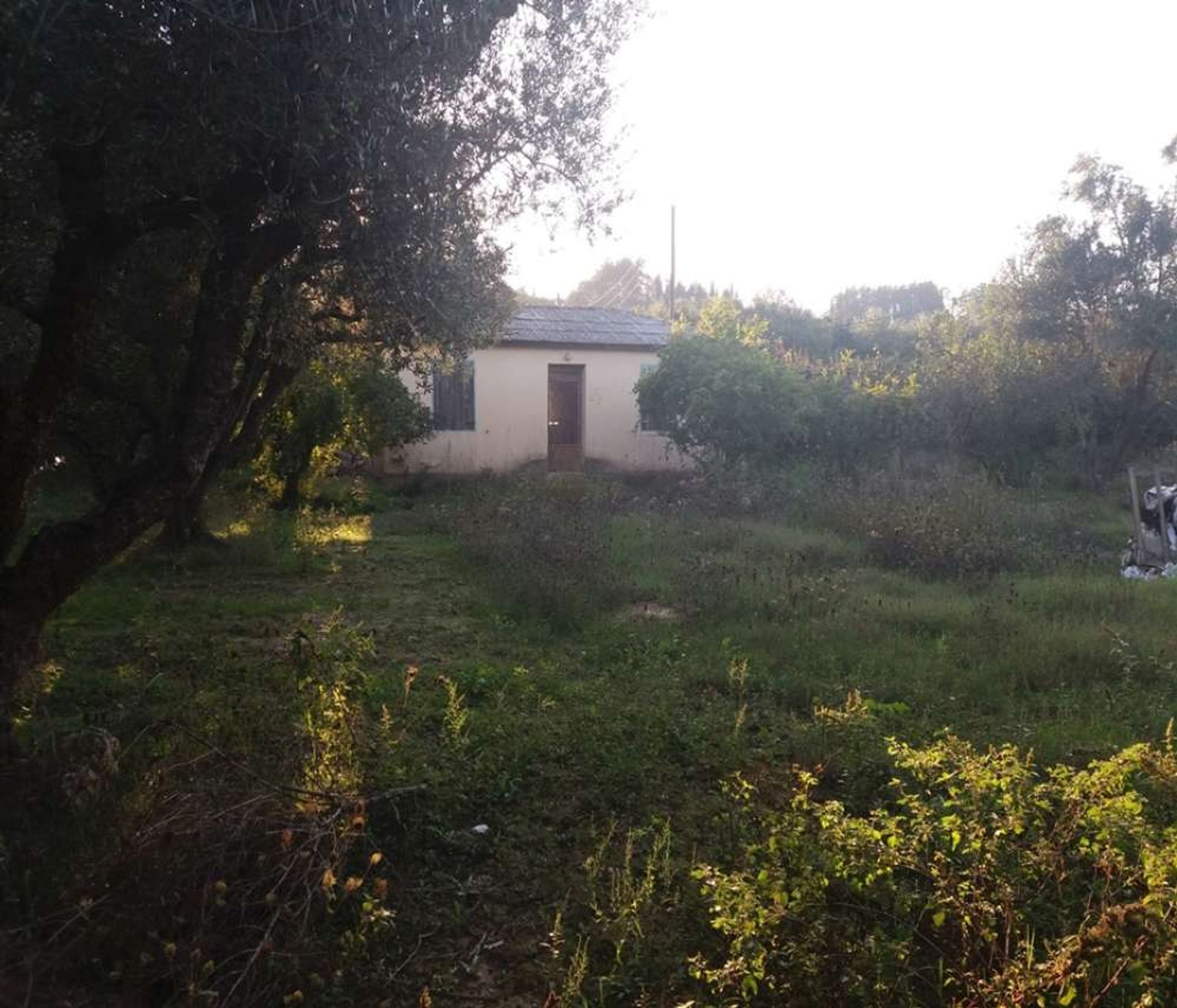 Земля в Zakynthos, Zakinthos 10086699