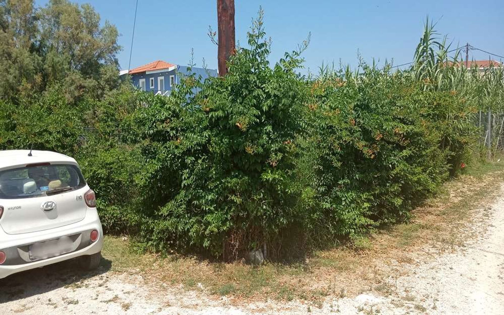 Land im Zakynthos, Zakinthos 10086700