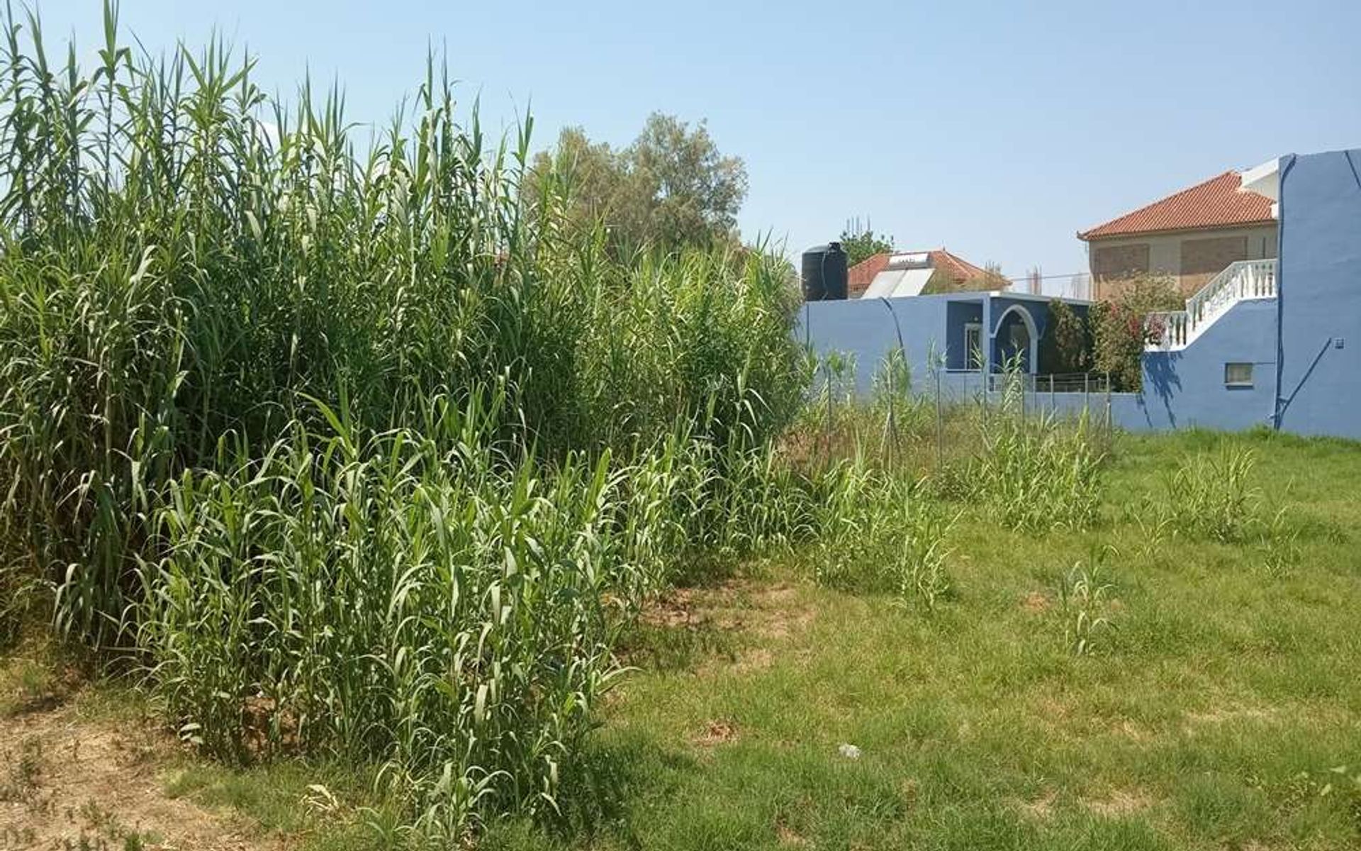 Land im Zakynthos, Zakinthos 10086700