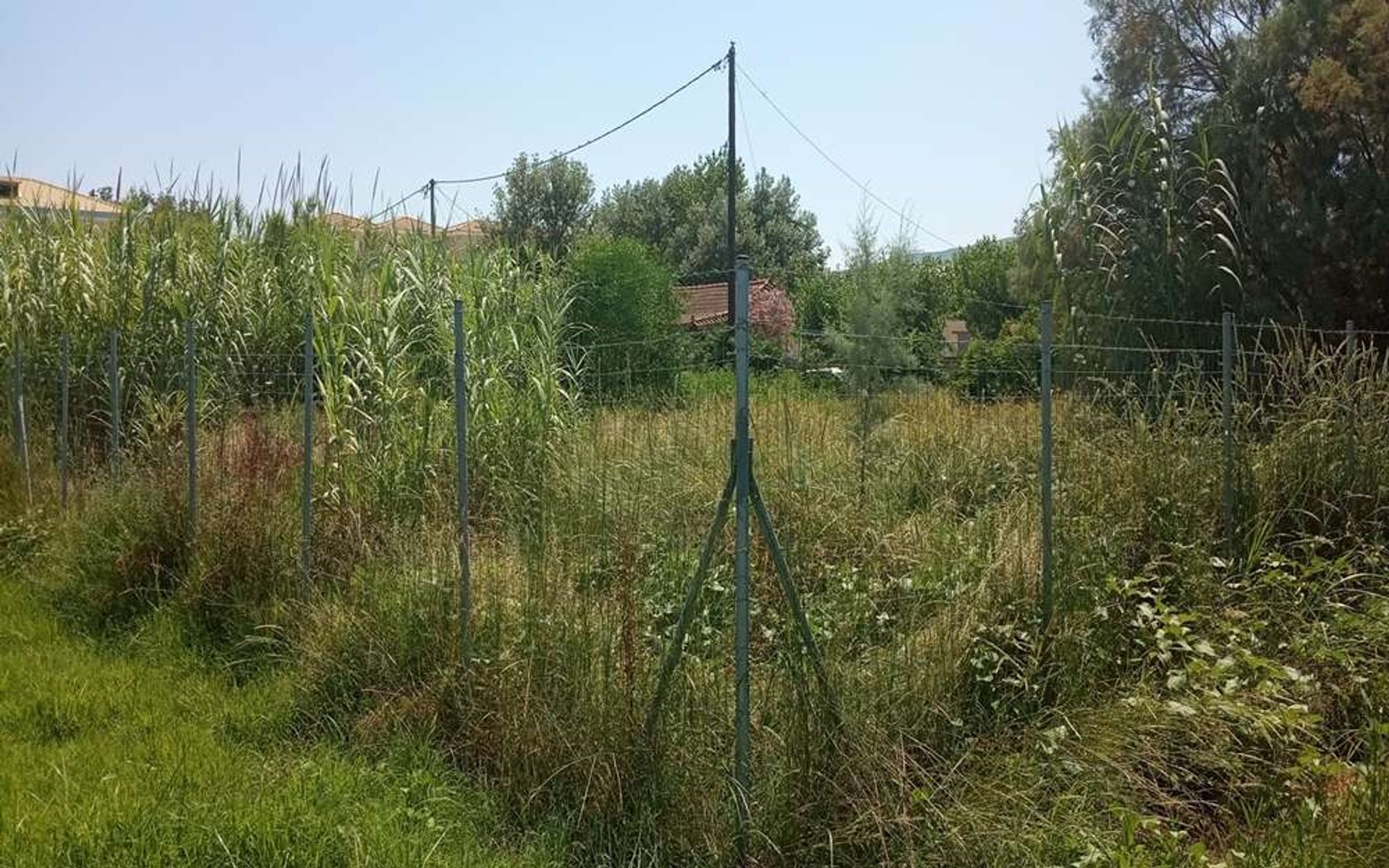 Land im Bochali, Ionia Nisia 10086700