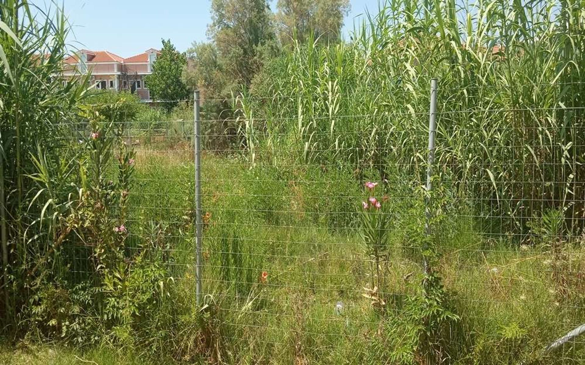 Land im Zakynthos, Zakinthos 10086700