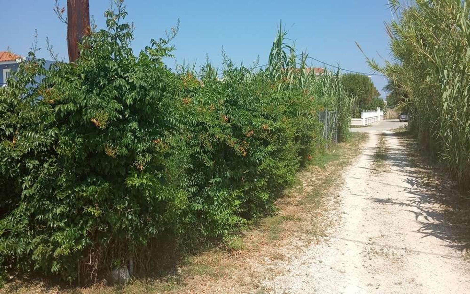 Land im Zakynthos, Zakinthos 10086700