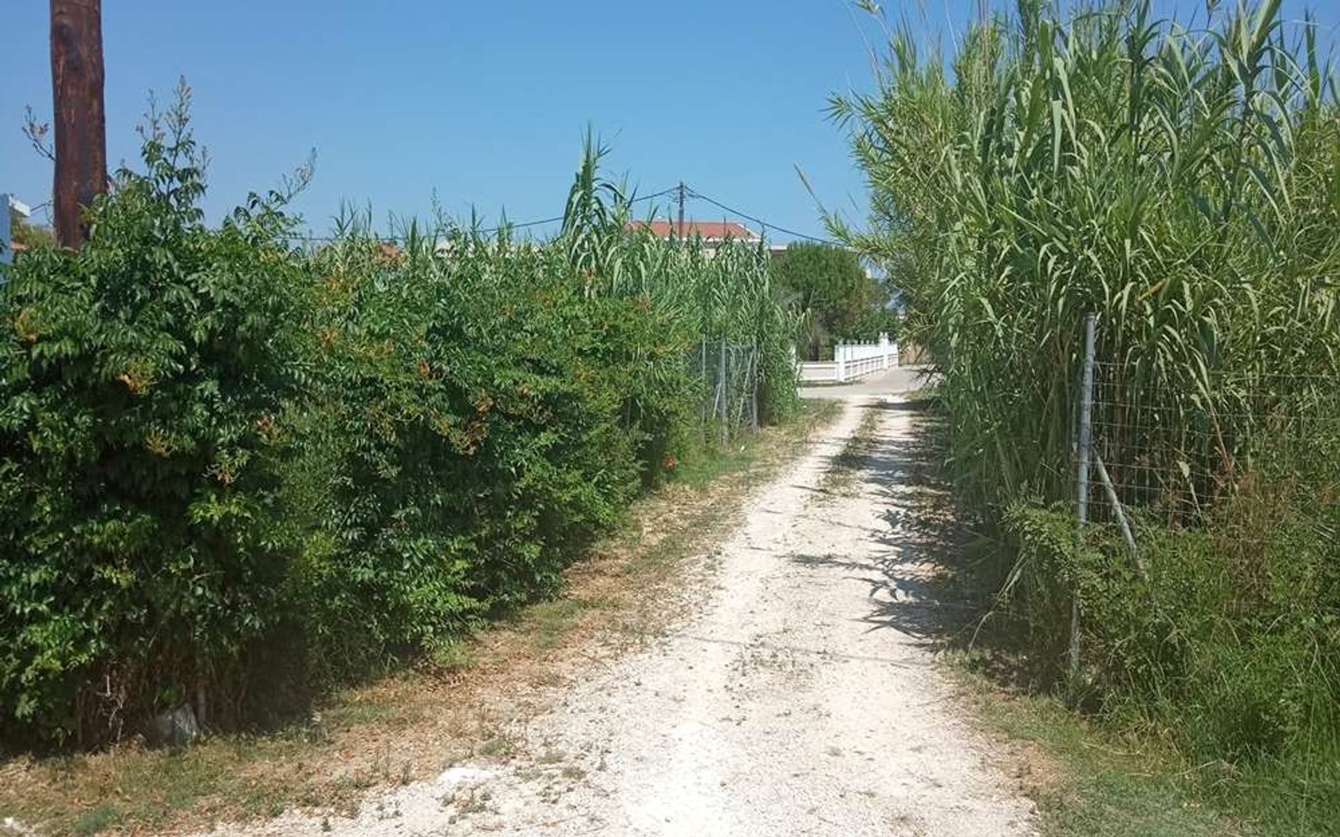 Jord i Zakynthos, Zakinthos 10086700